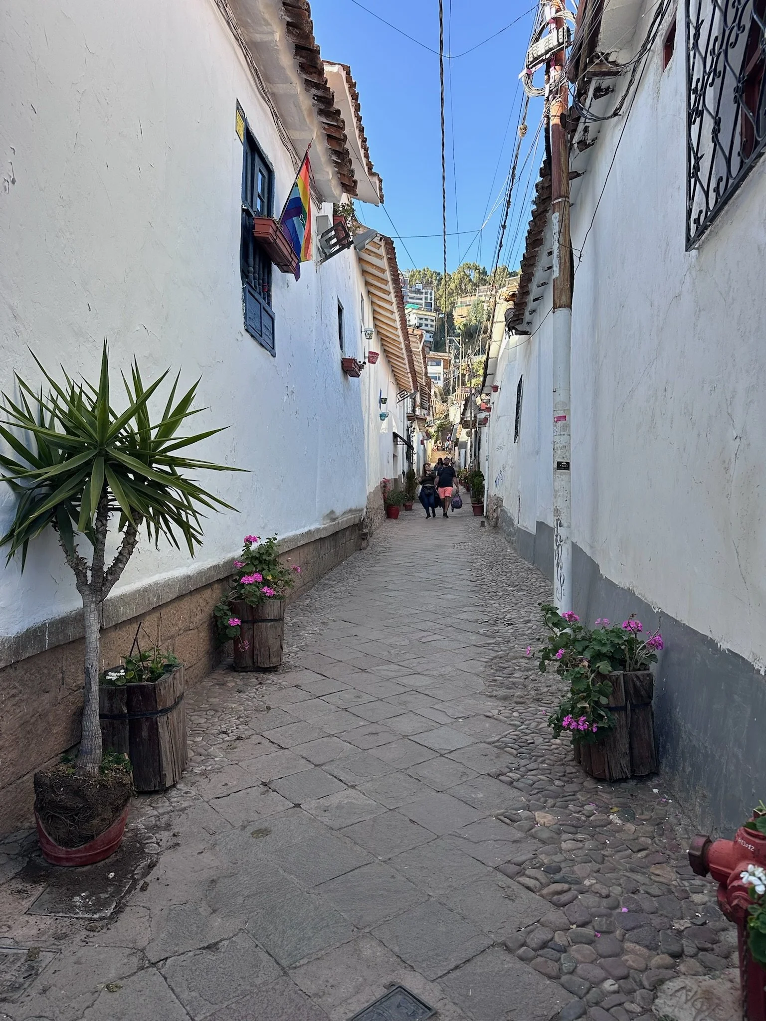 IMG_3666.jpeg