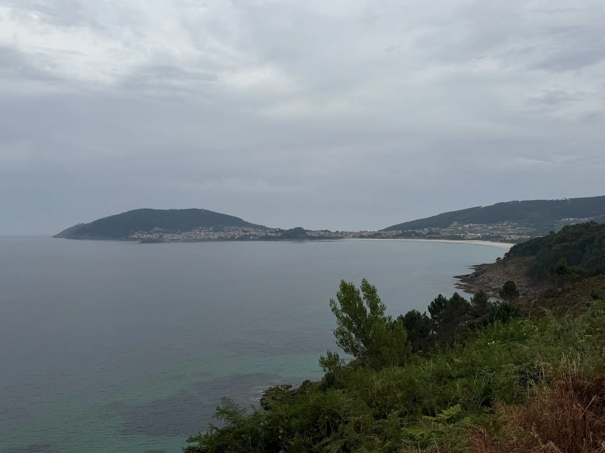 IMG_0613.jpeg