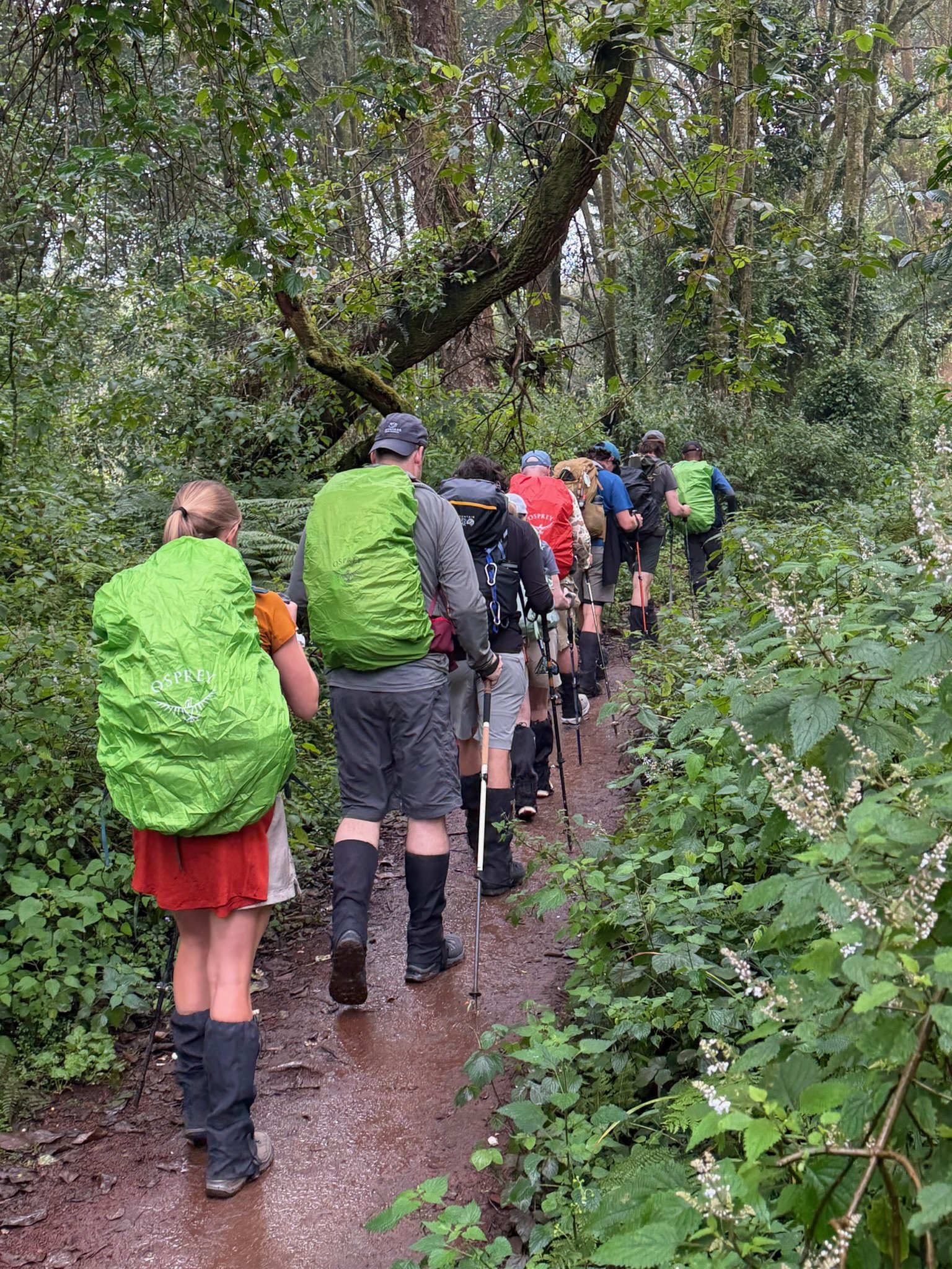 Day 3 - The Climb Begins!