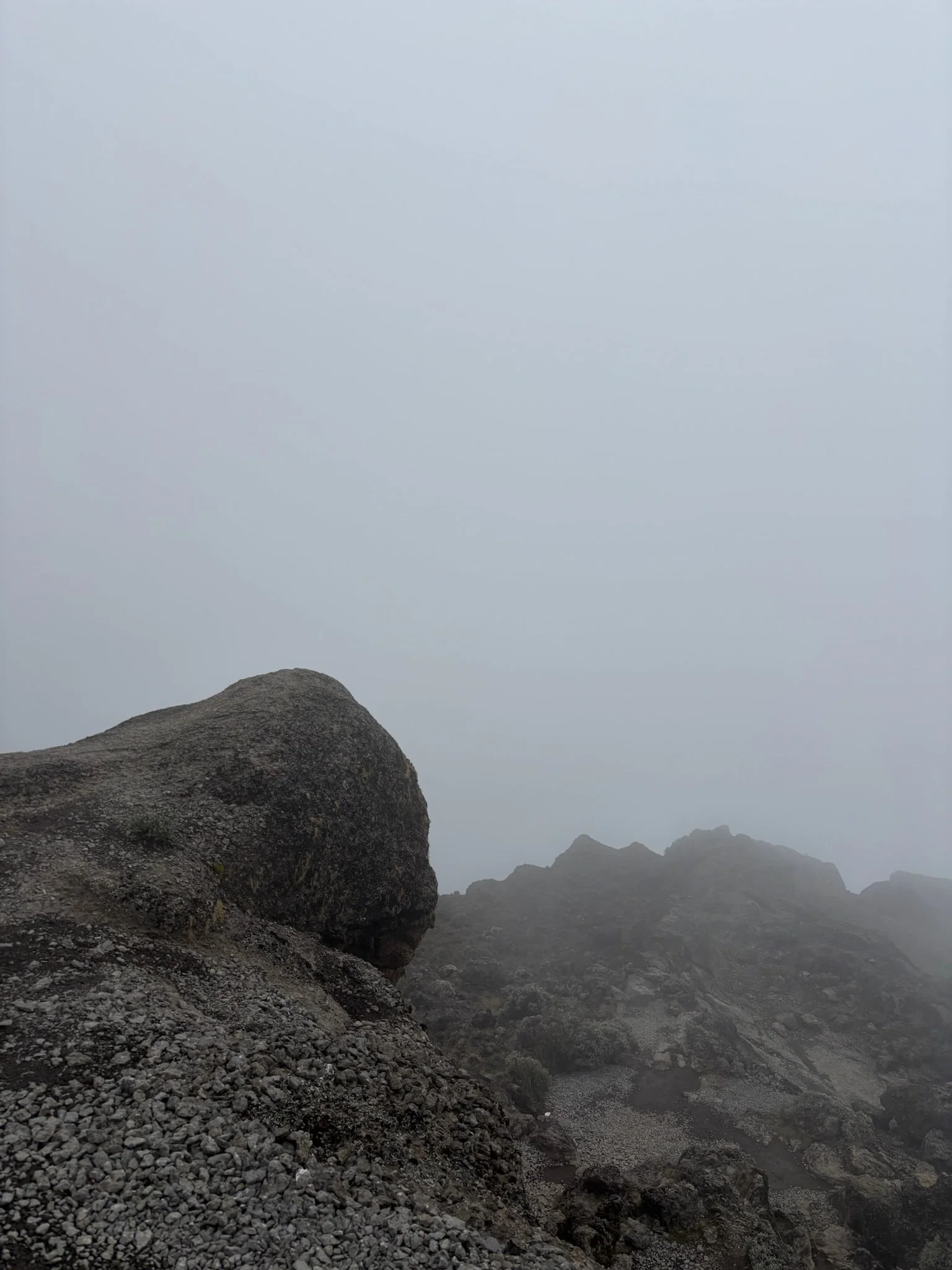 IMG_5737.jpeg