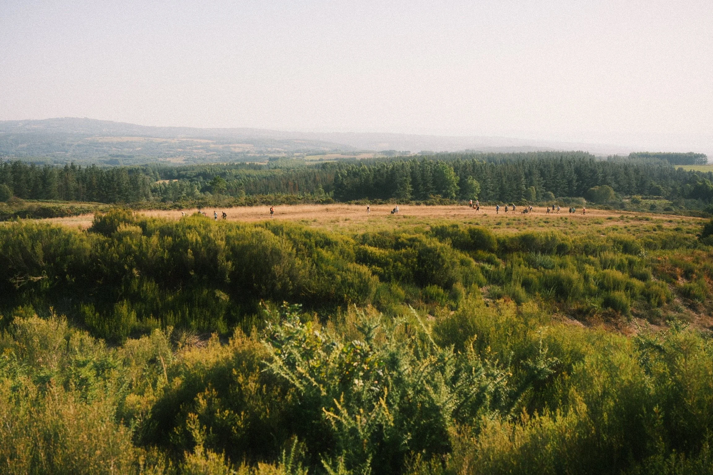 DSCF1780.jpg