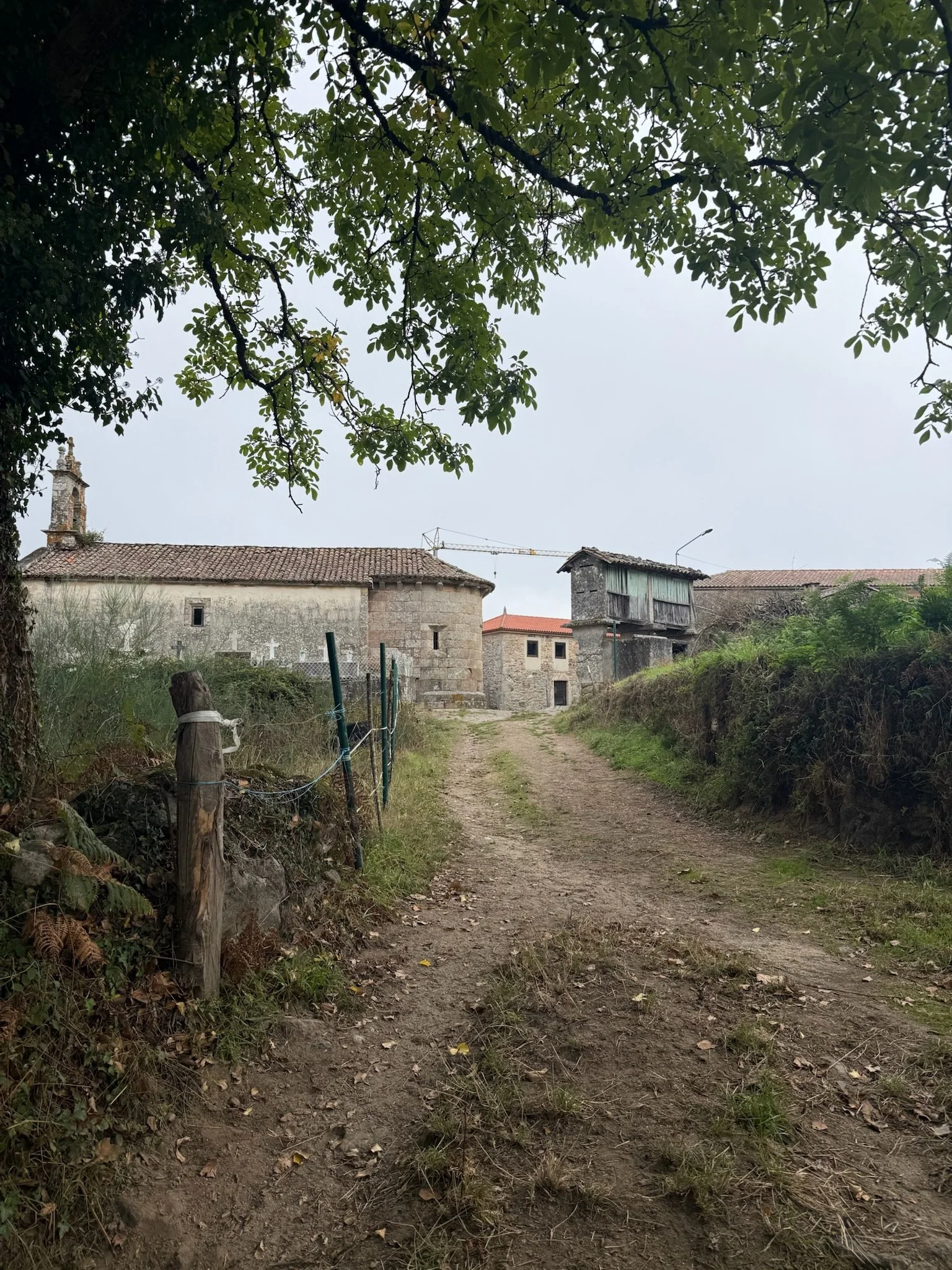 IMG_8821.jpeg