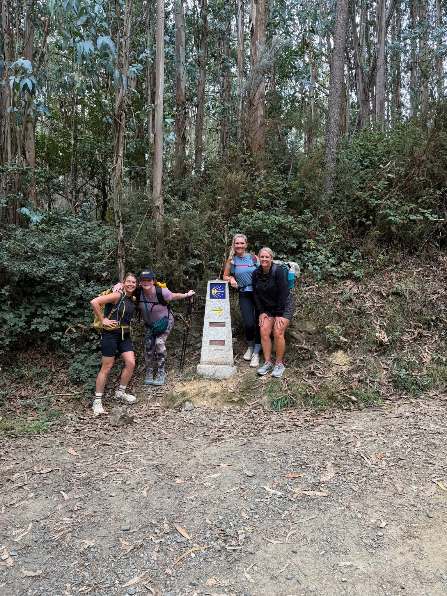 Day 5 - Melide to Arzua