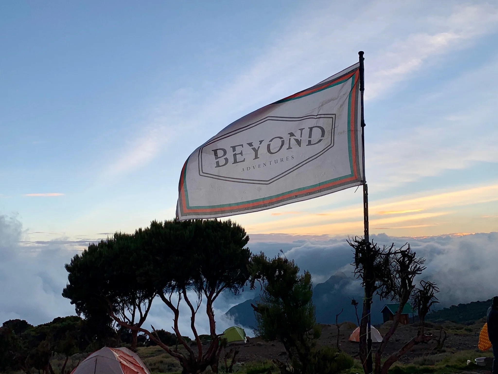 Day 4: Climb to Shira Camp