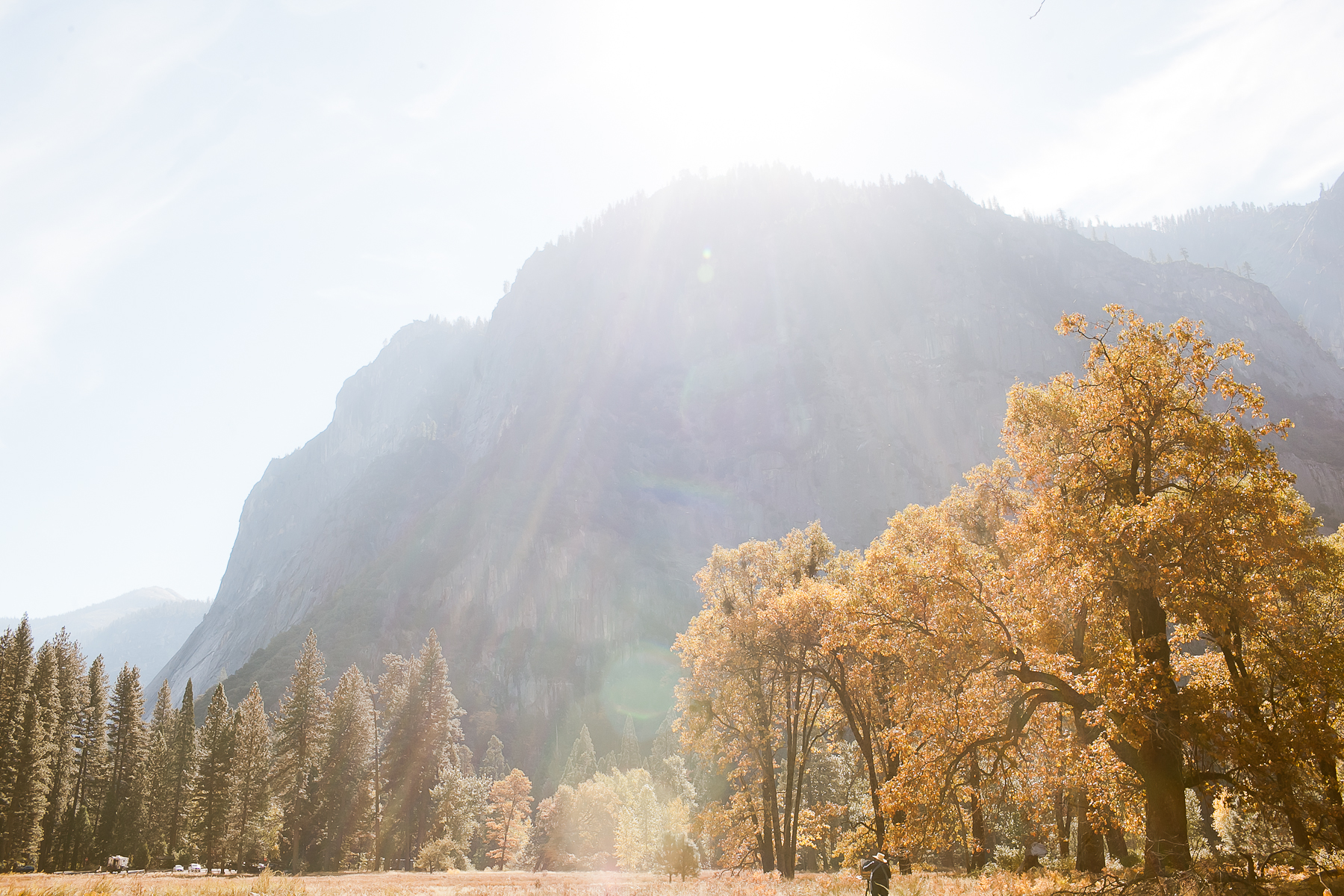 biking-in-yosemite-valley-0010.jpg