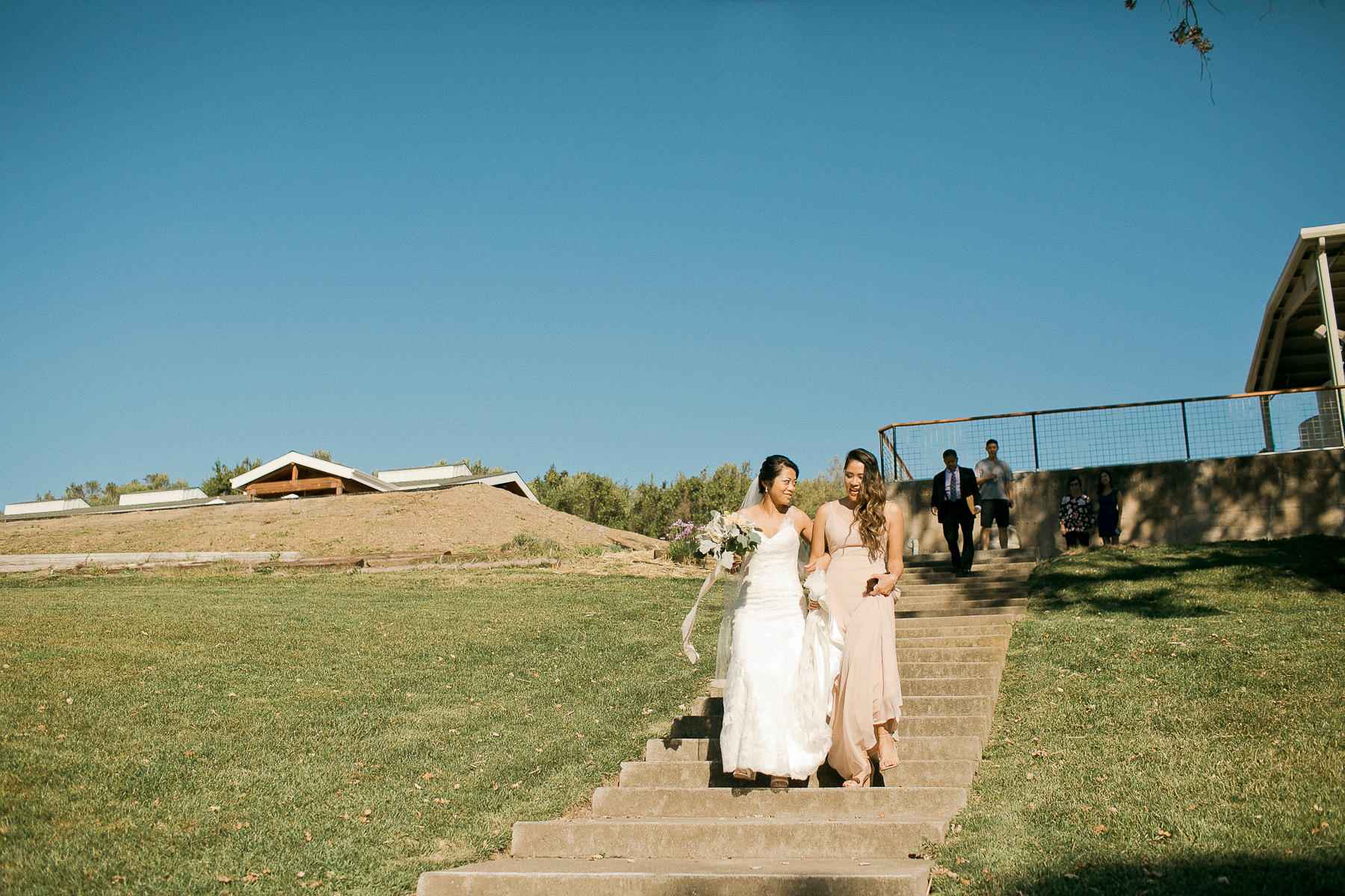 BR-Cohn-winery-0015.jpg