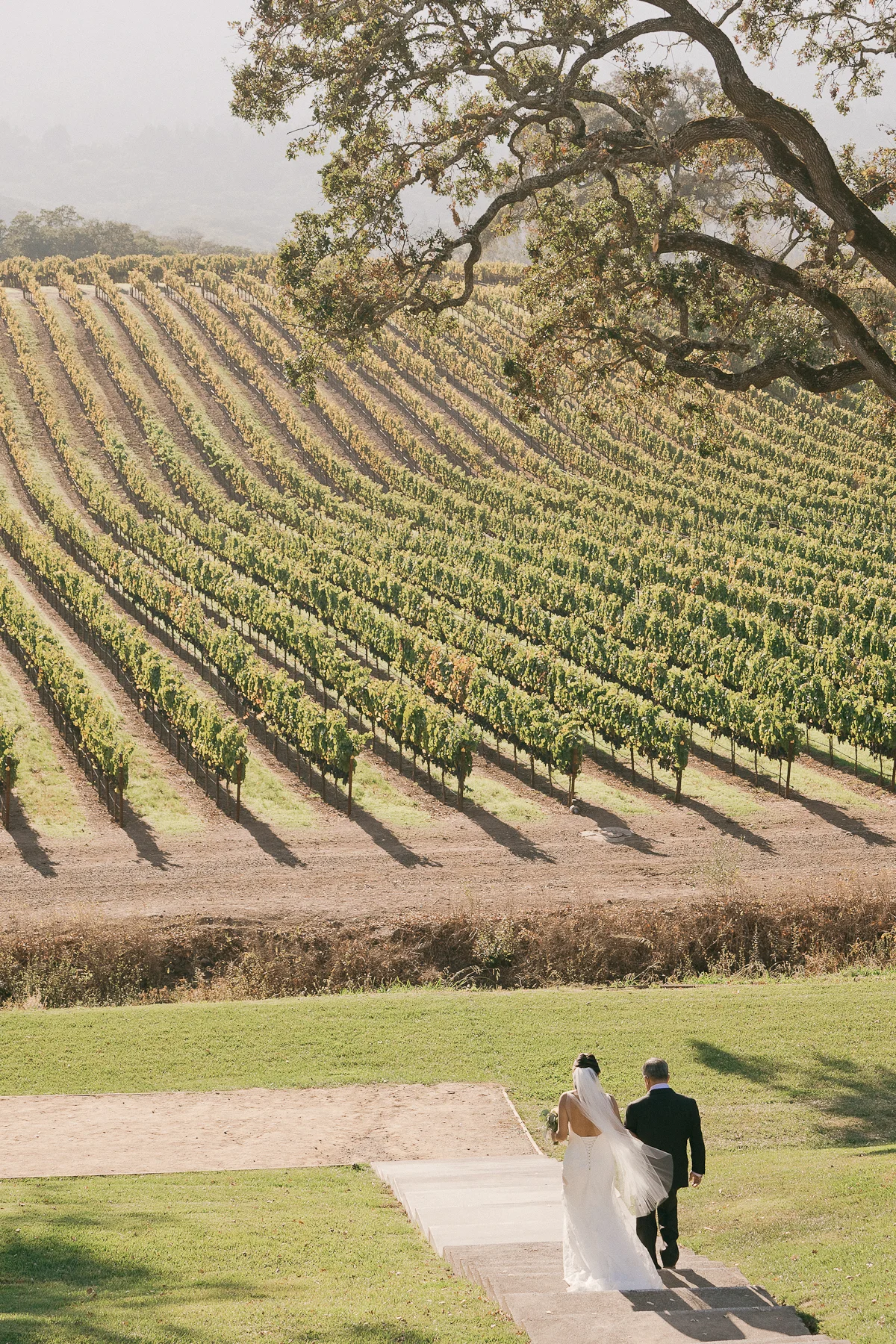 BR-Cohn-winery-0039.jpg
