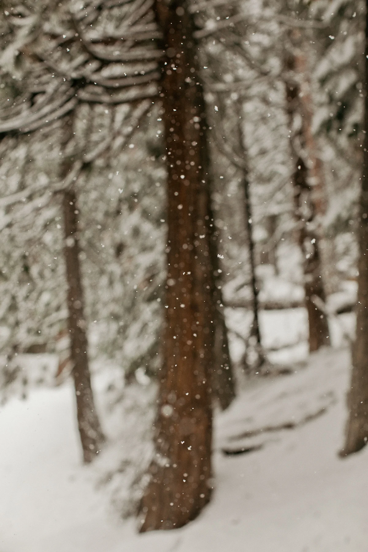 tahoe-0009.jpg