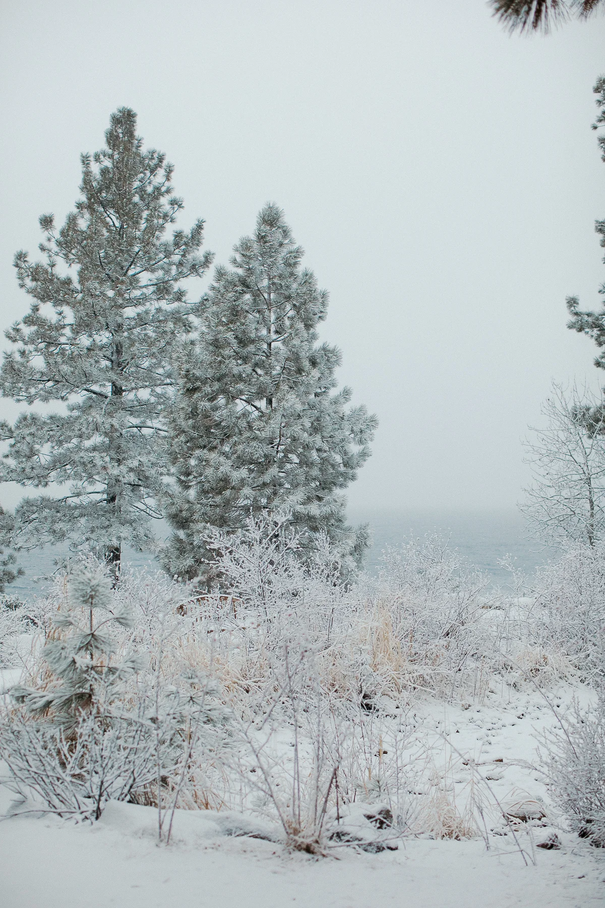 tahoe-0002.jpg