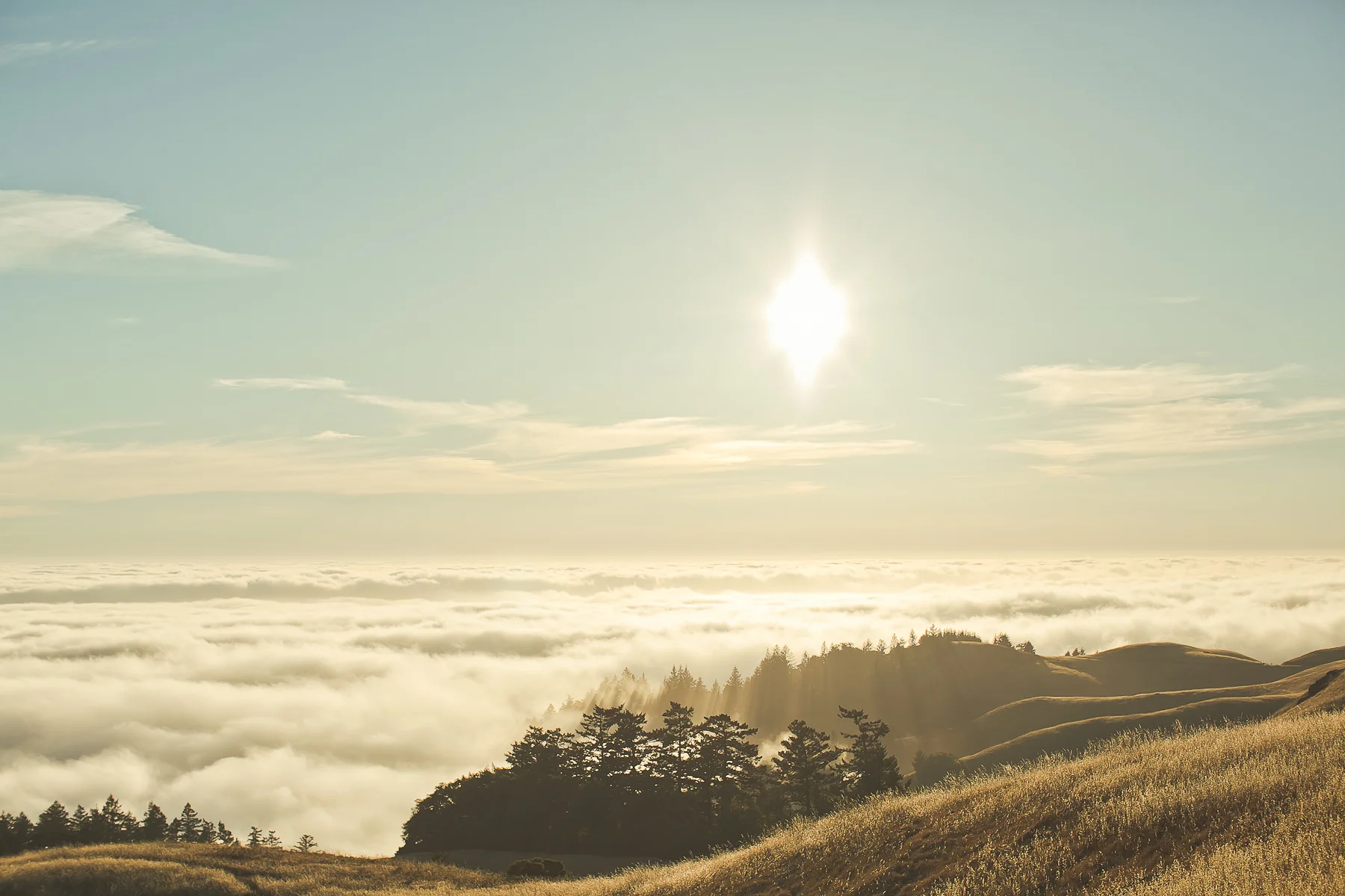 mt-tamalpais-engagement-0012.jpg