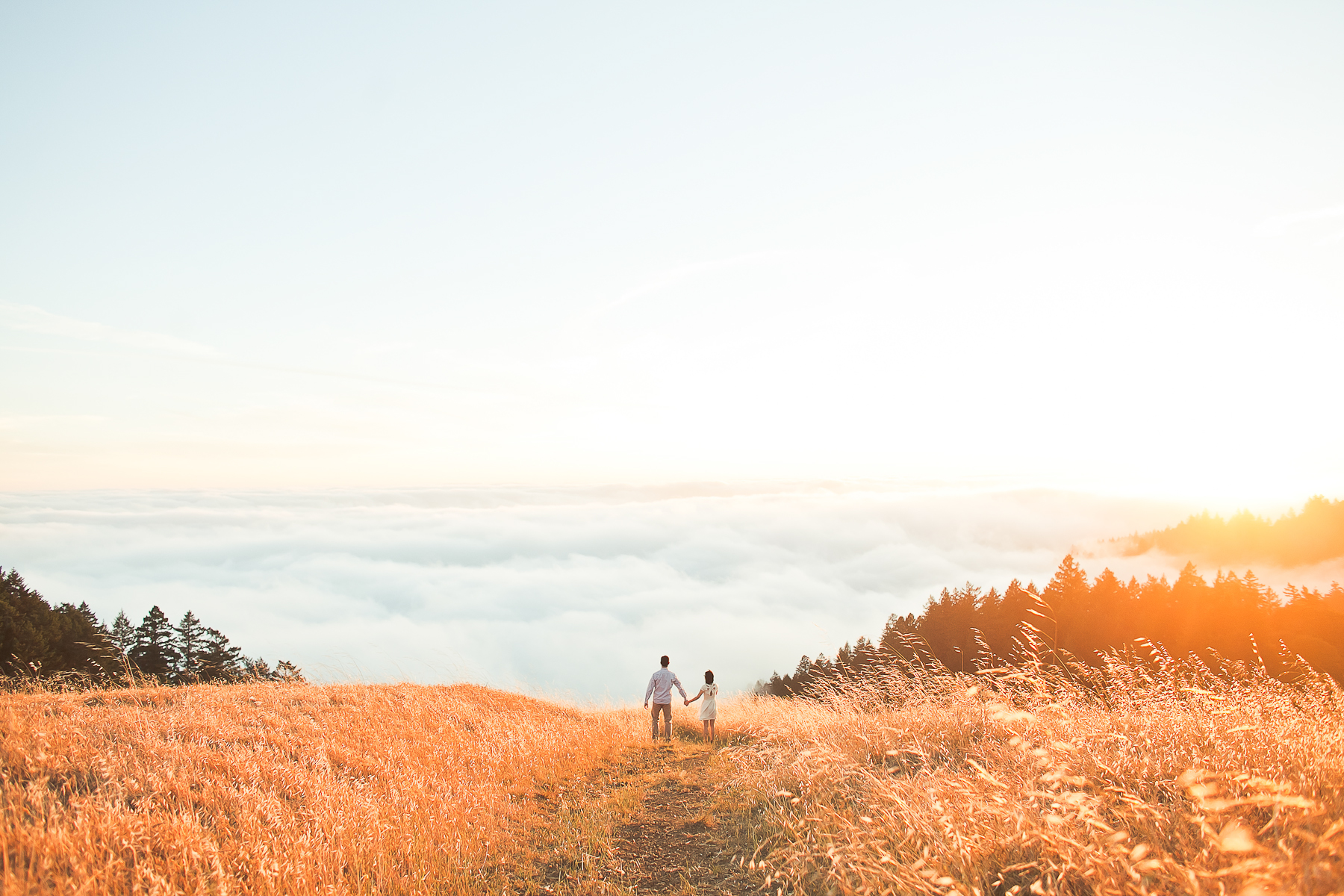 mt-tamalpais-engagement-0028.jpg