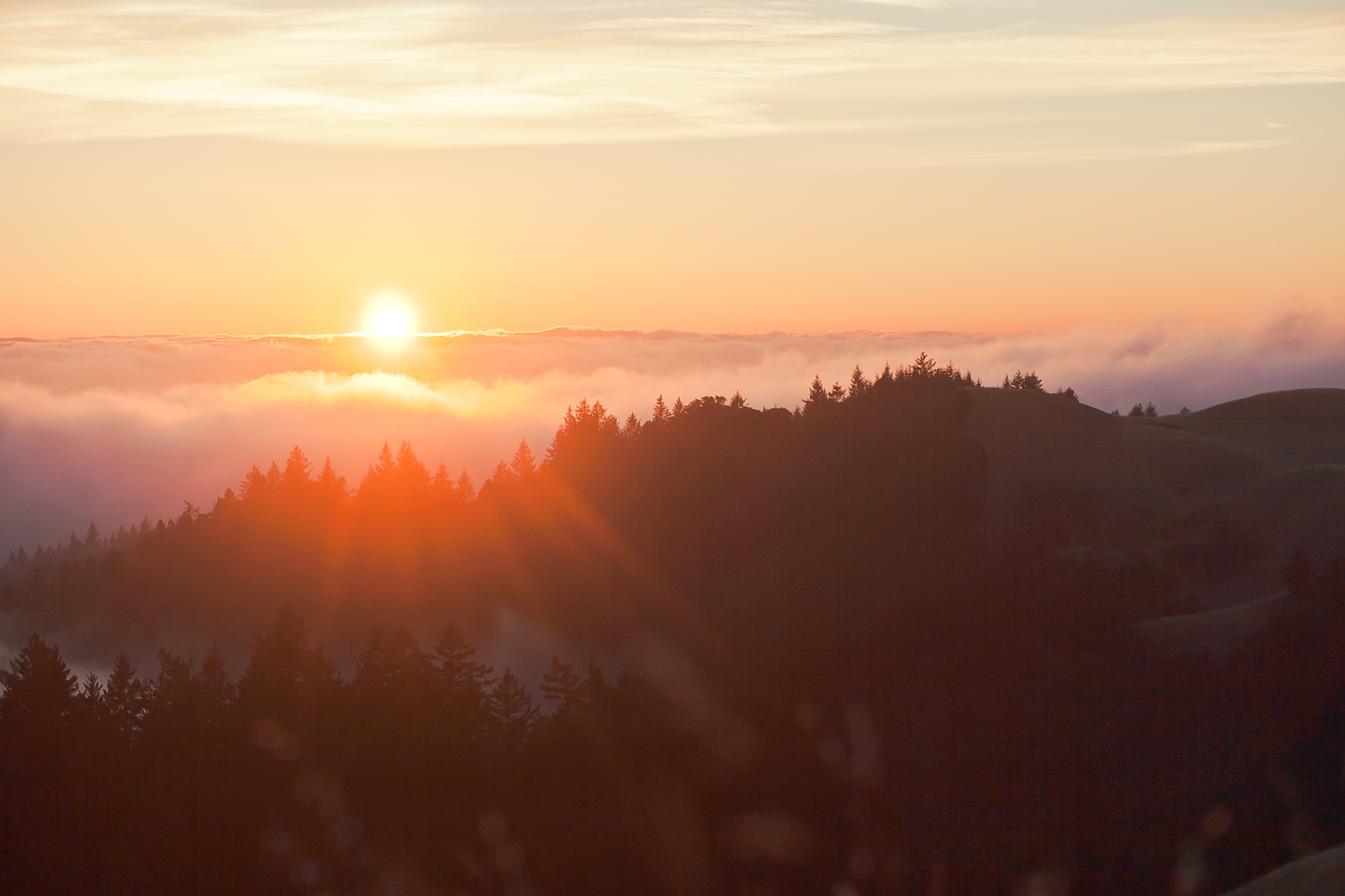mt-tamalpais-engagement-0031.jpg