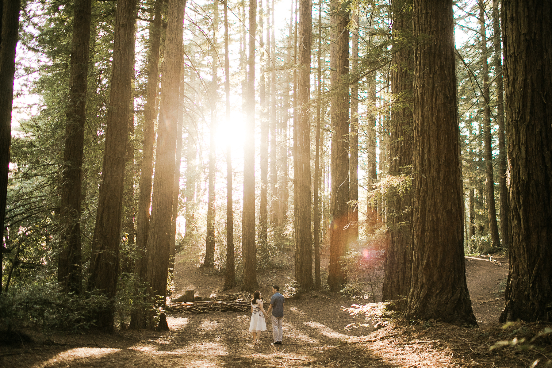 Redwood-engagement-0003.jpg