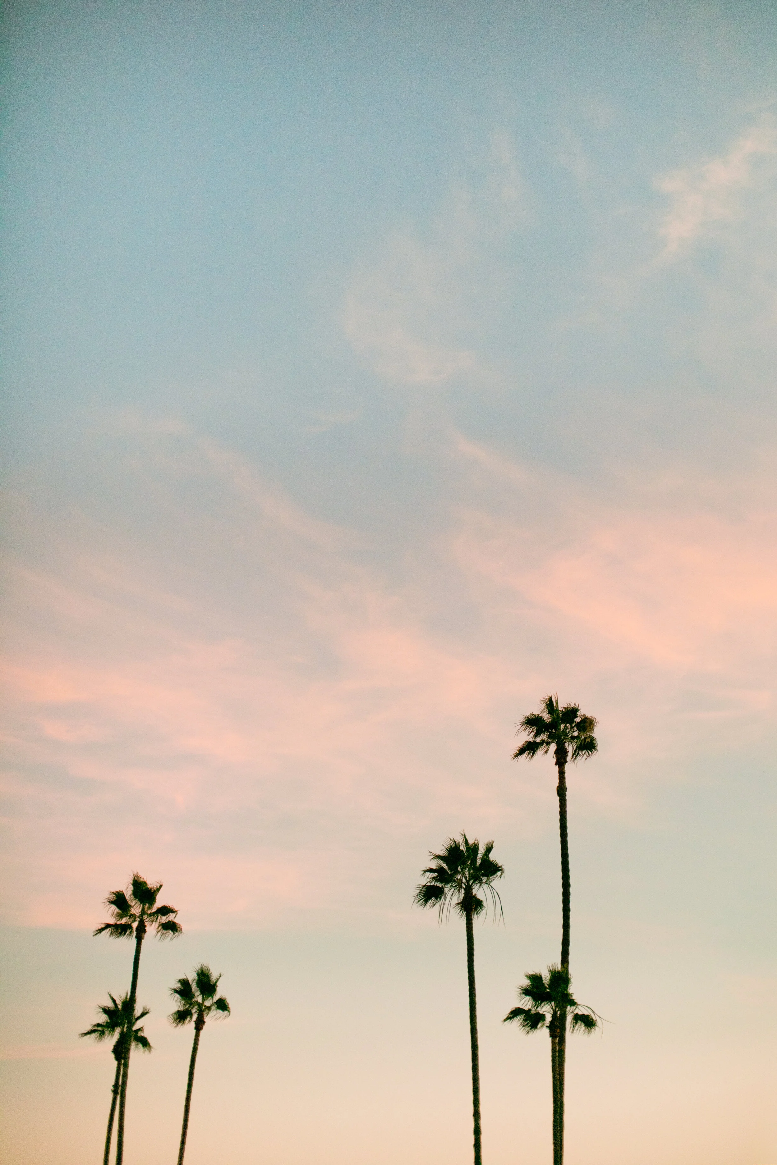 Cotton Candy San Diego Sky.