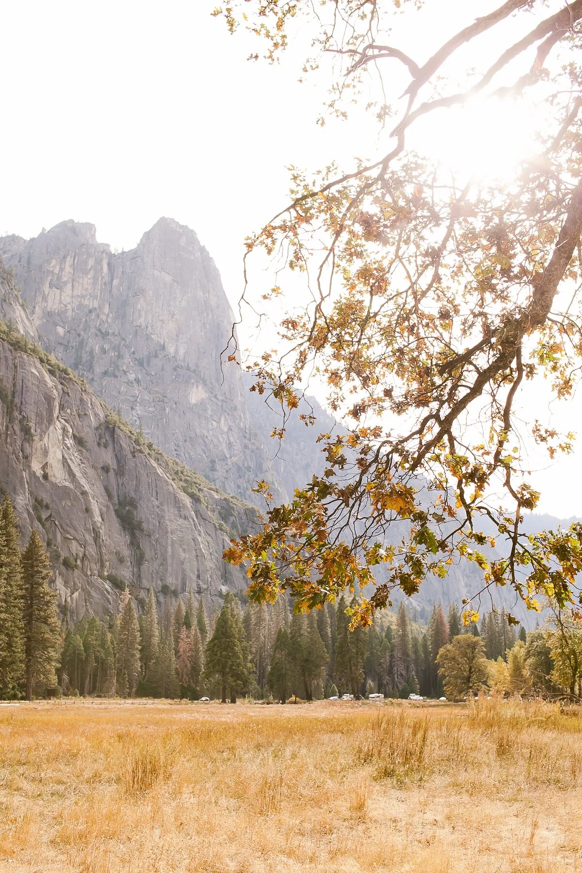 Fall season in Yosemite Valley. Full of magic.