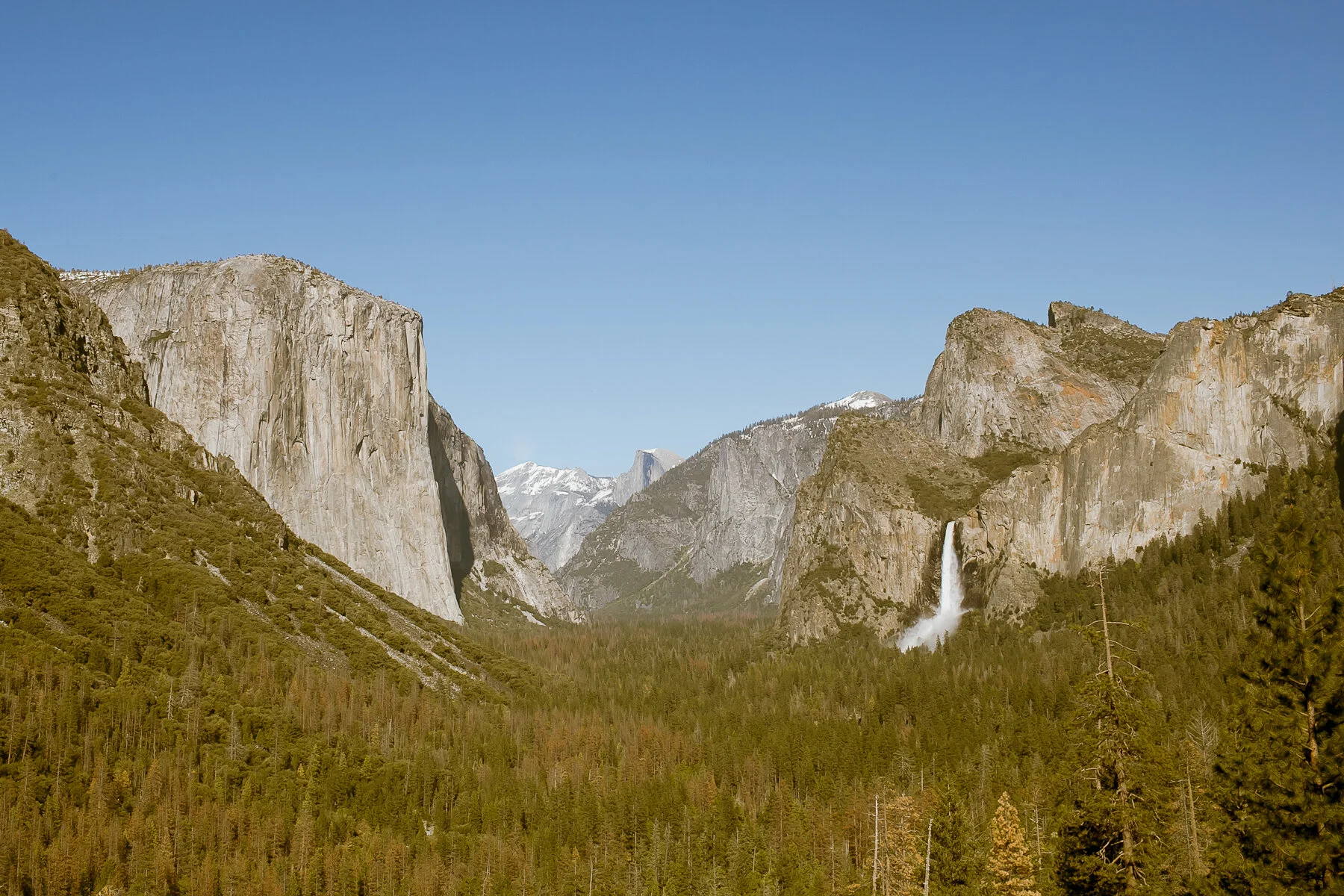 Yosemite Valley in early summer with a roaring Yosemite falls.