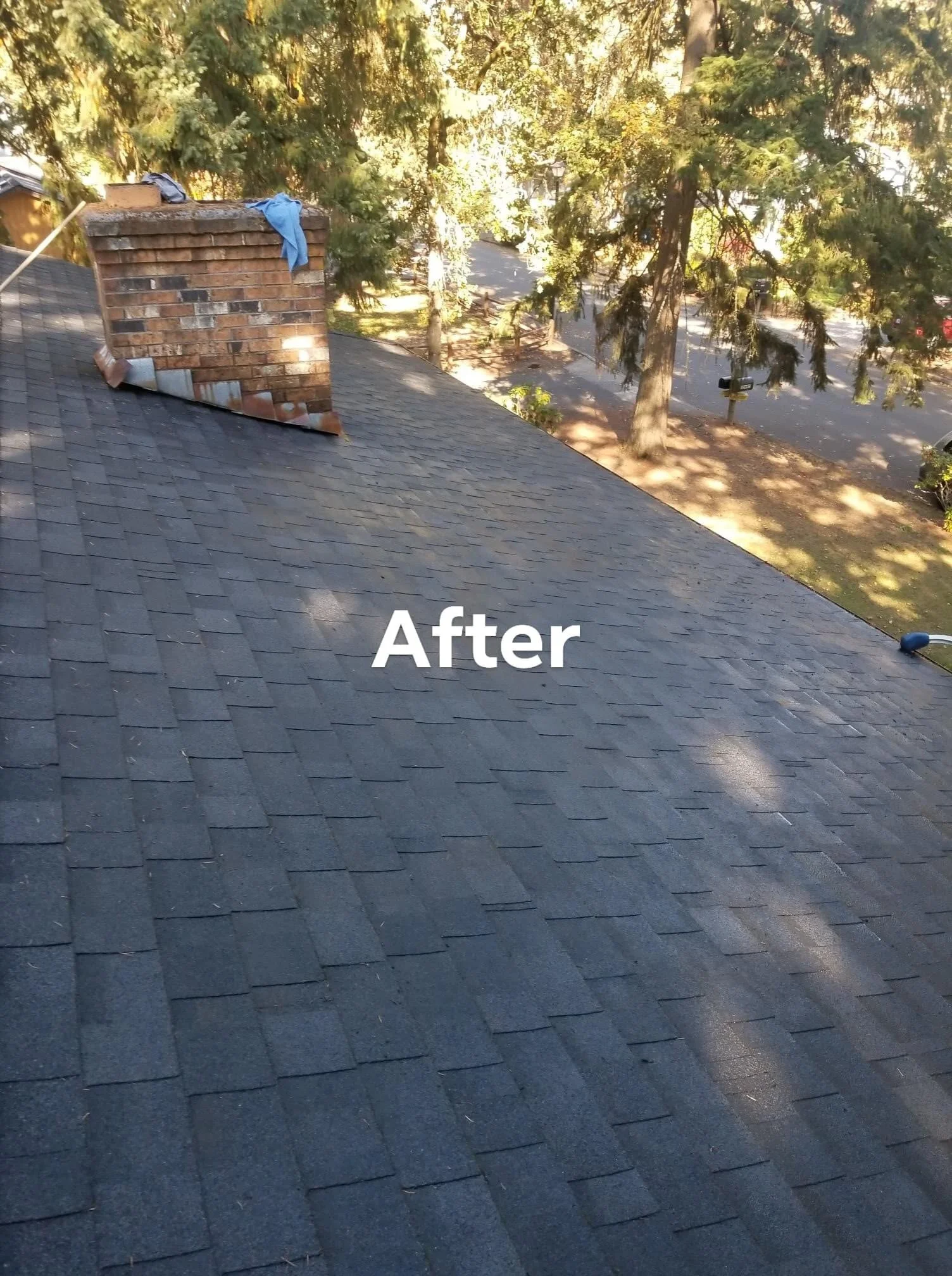 Roof cleaning and moss removal project on a composition roof.