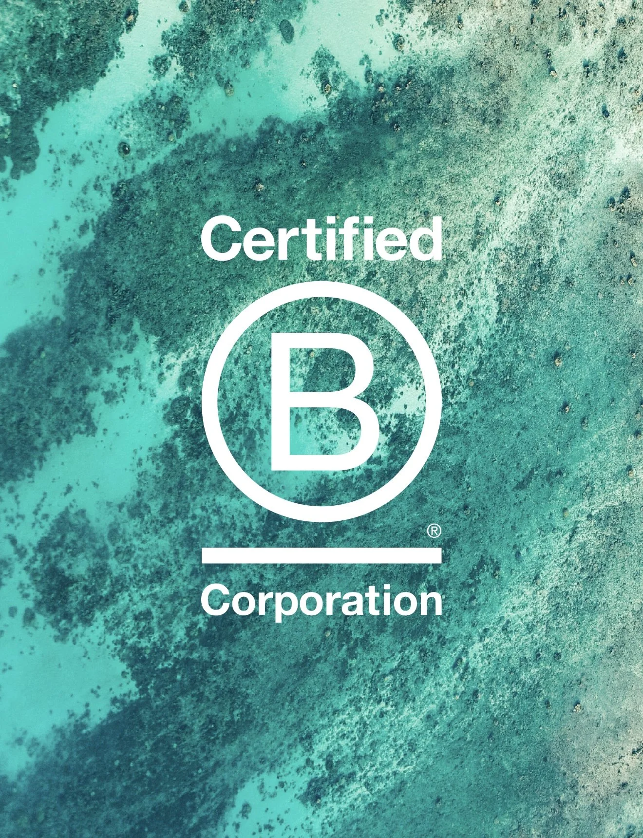ECOYA_BCORP_1320x1720.jpg