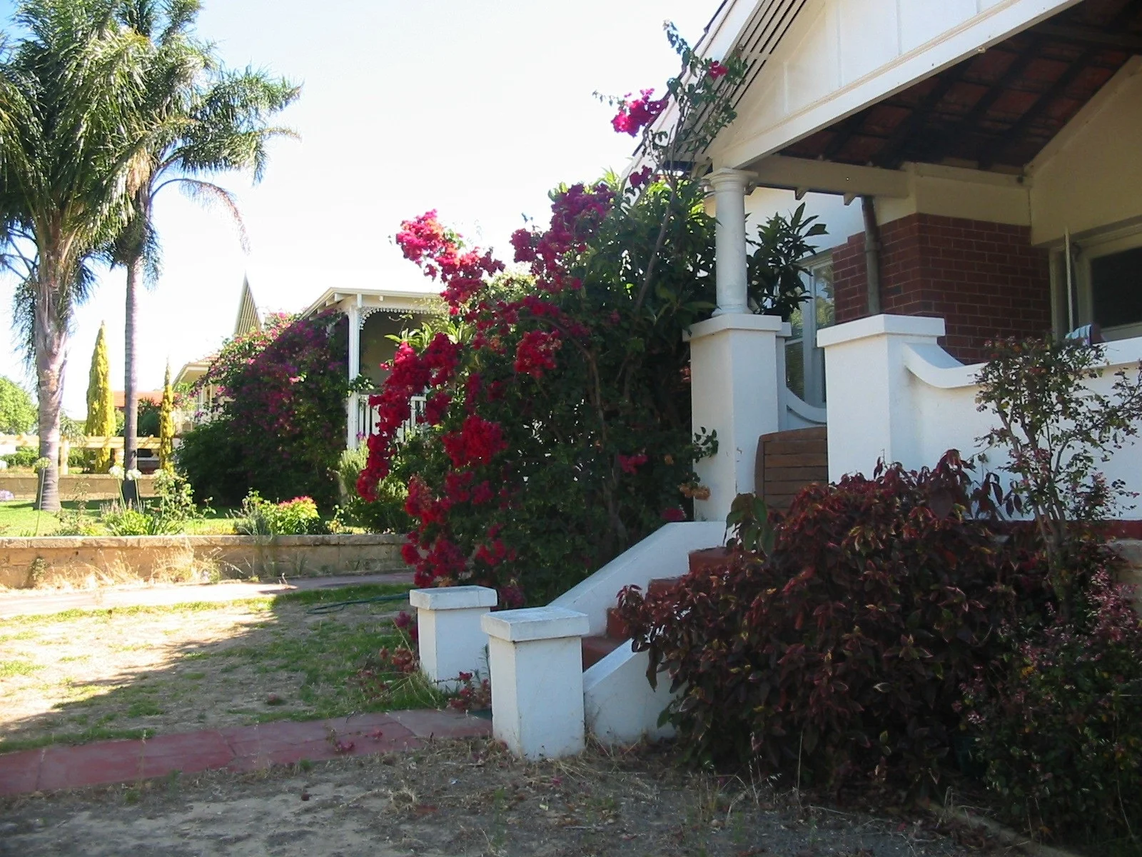 2006