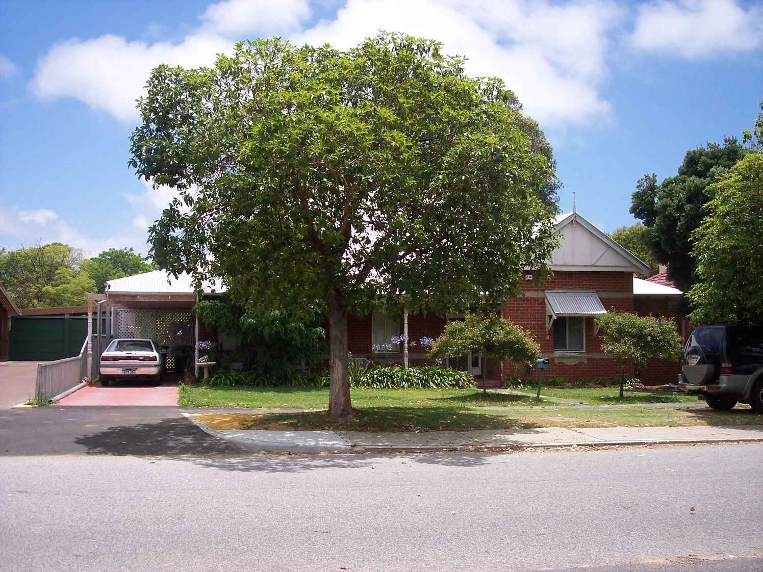 31 Allen Street