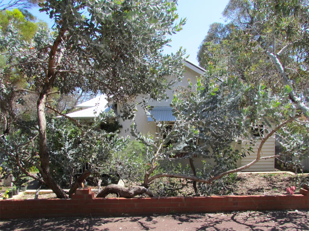 77 Oakover Street