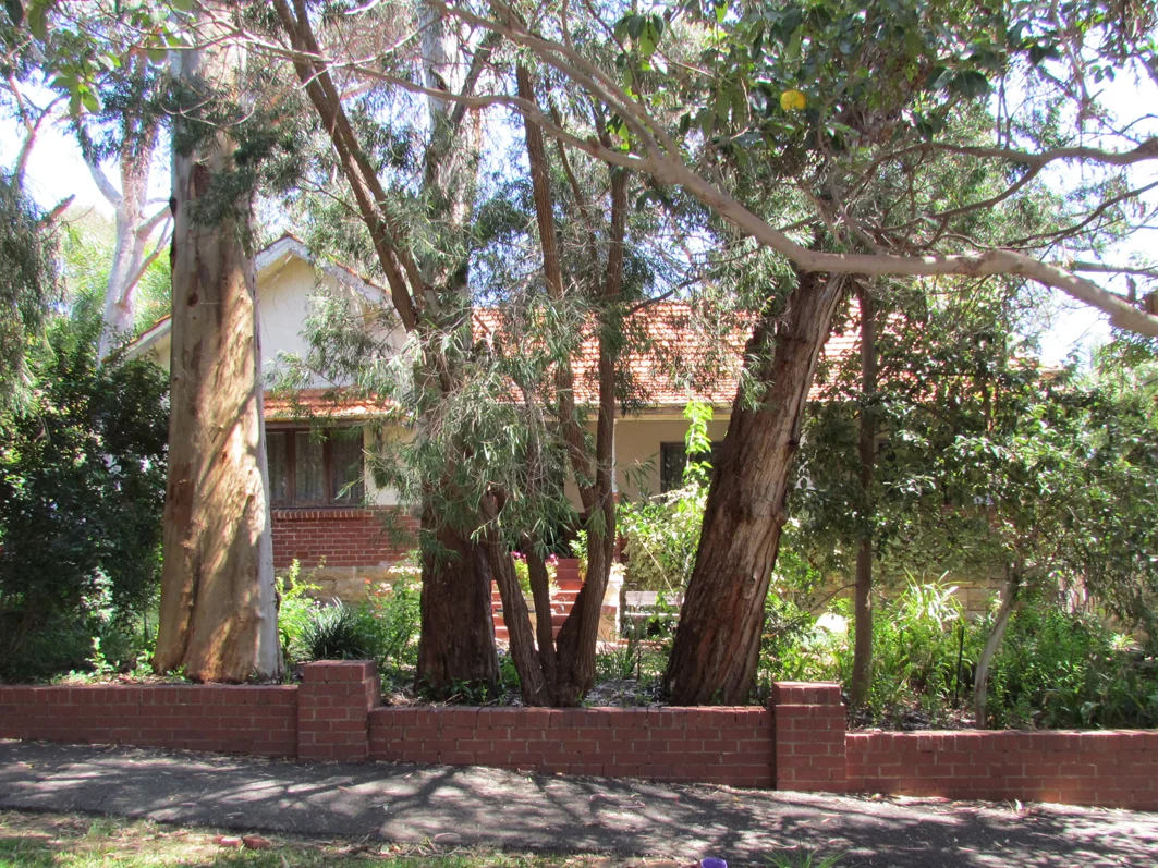 55 Fortescue Street