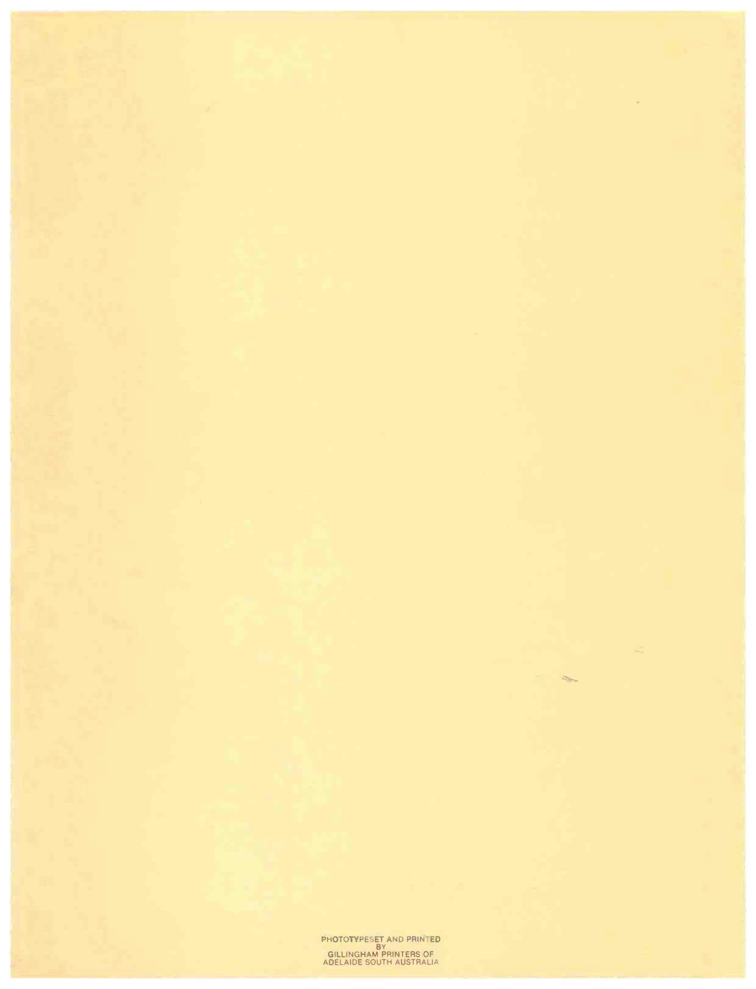0013.jpg