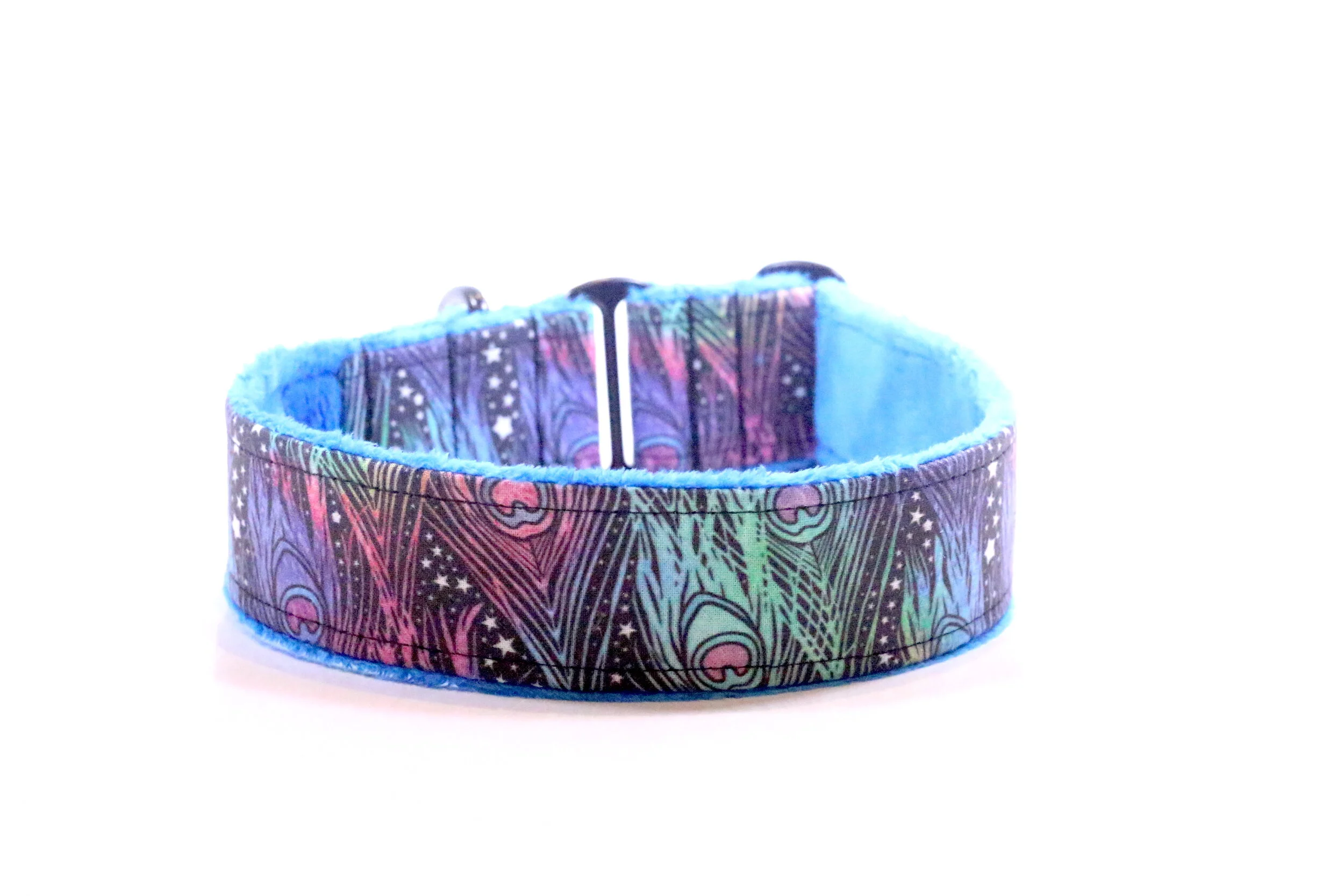 Rainbow Peacock Feathers