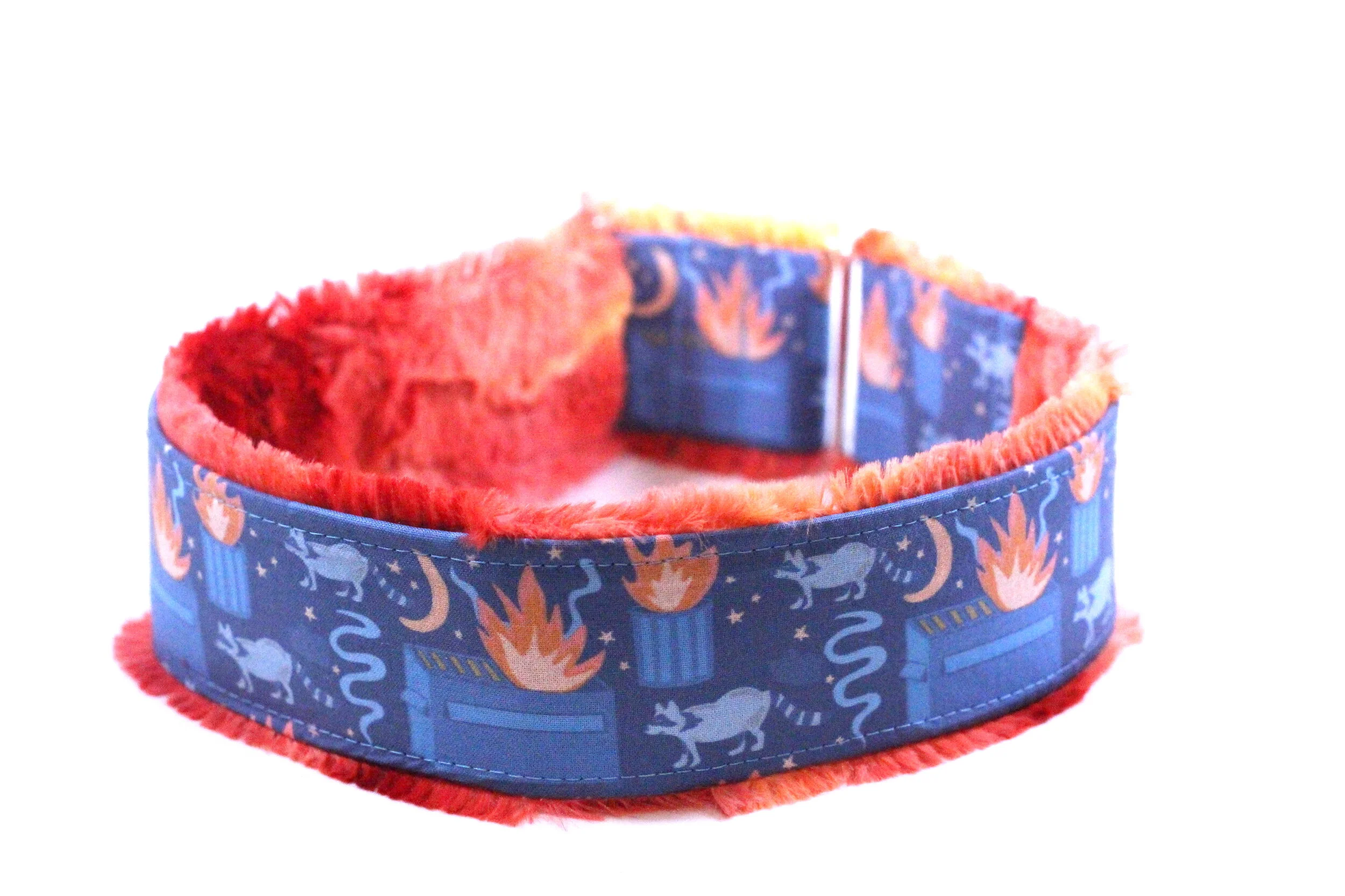 Dumpster Fire With Raccoons 