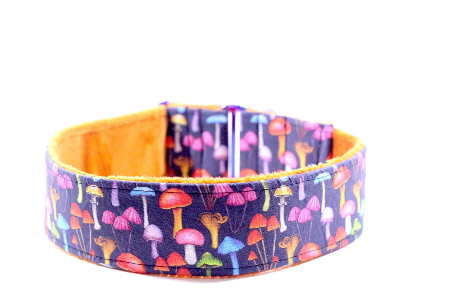 Bright Rainbow Mushrooms