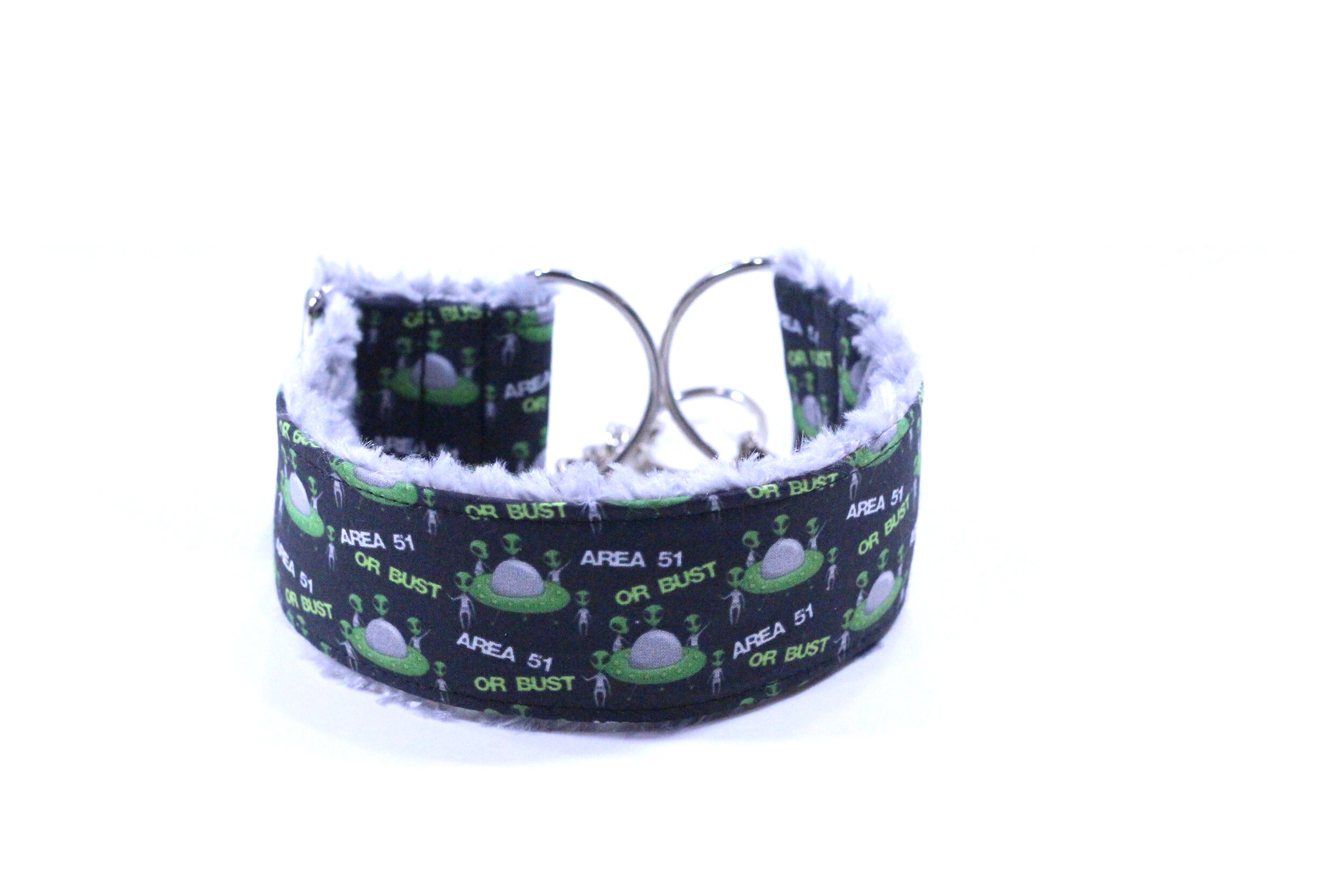 Area 51 or Bust Aliens