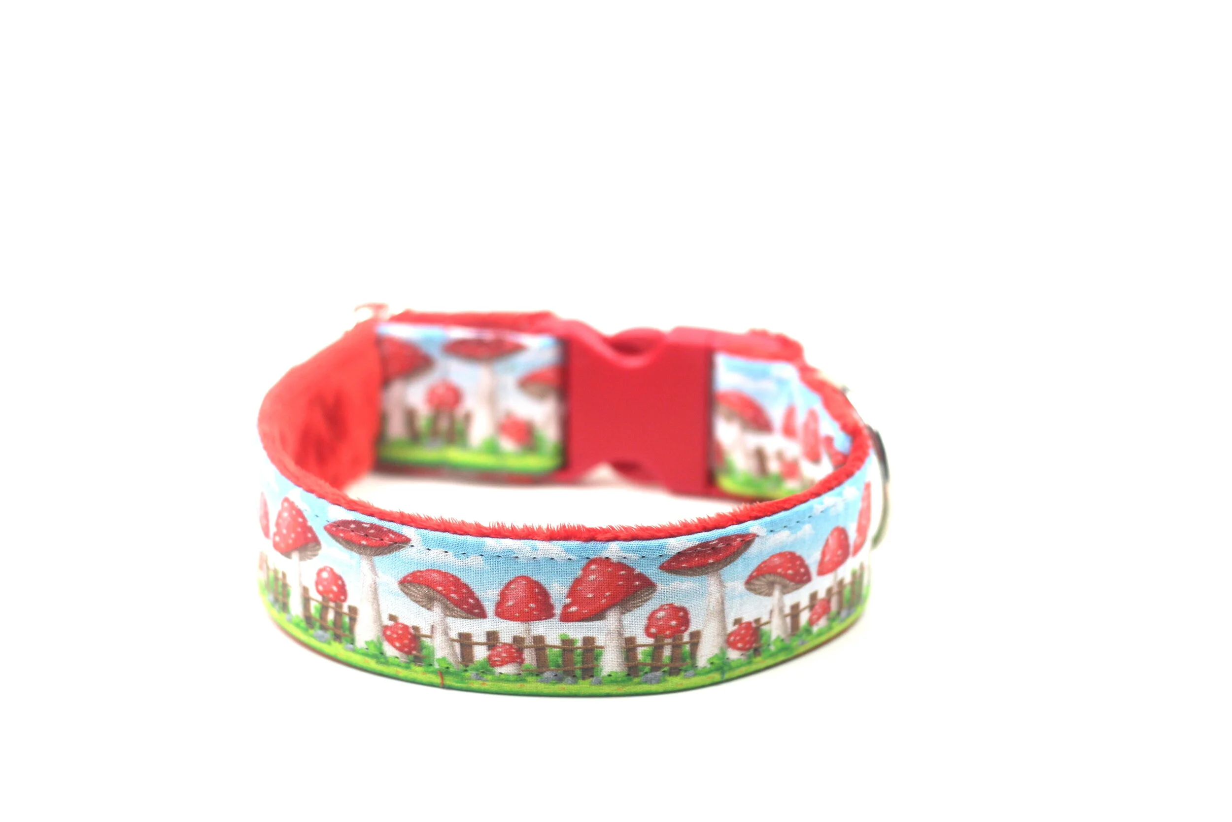 Mushrooms Against A Fence