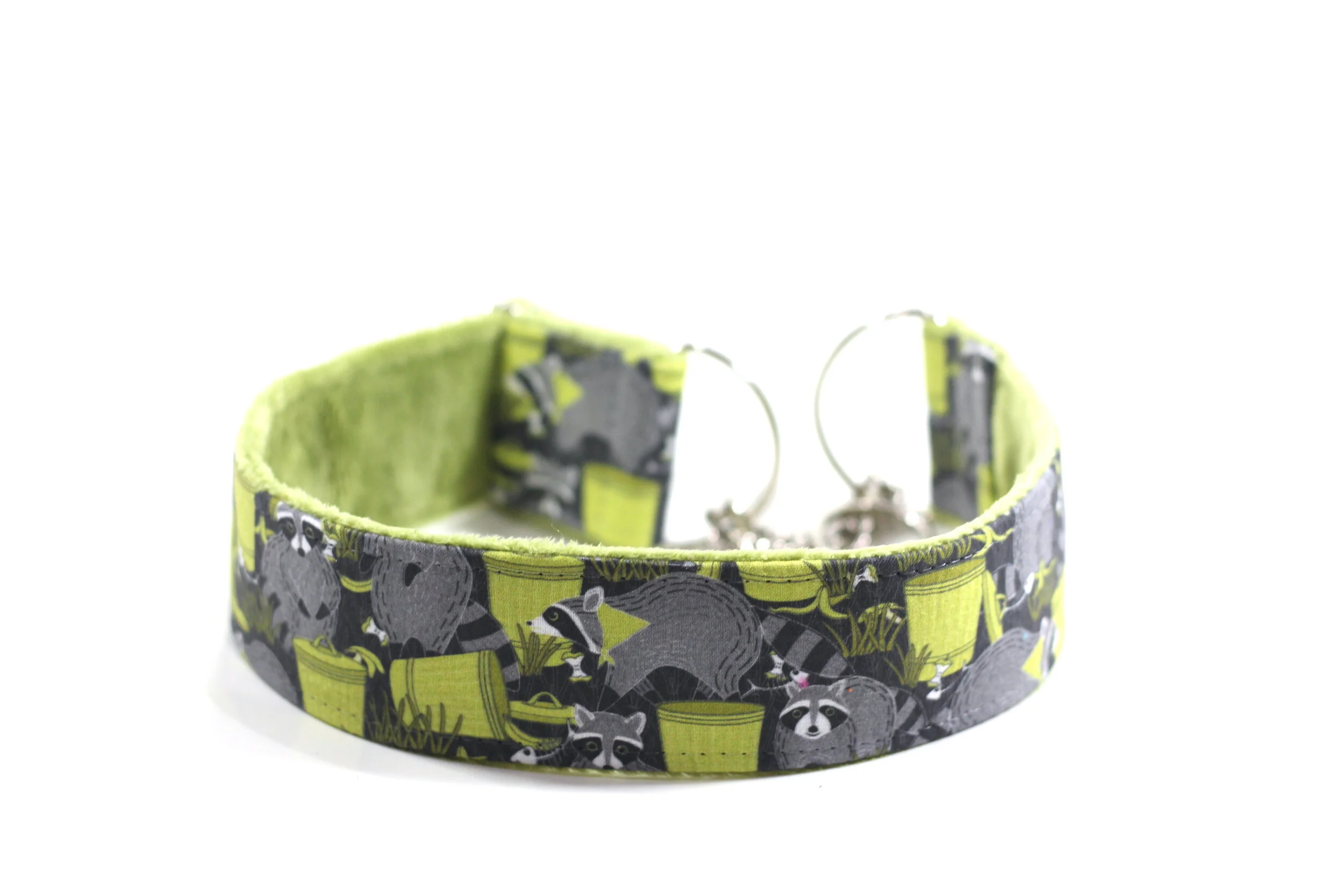 Raccoons In Trash Cans