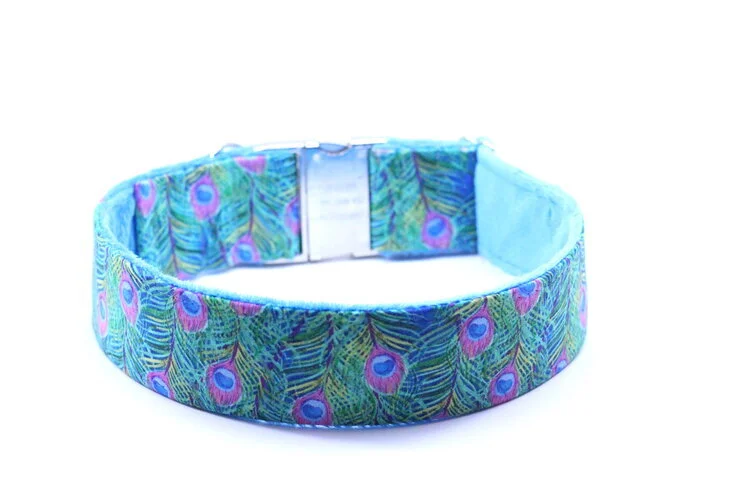 Watercolor Peacock Feathers