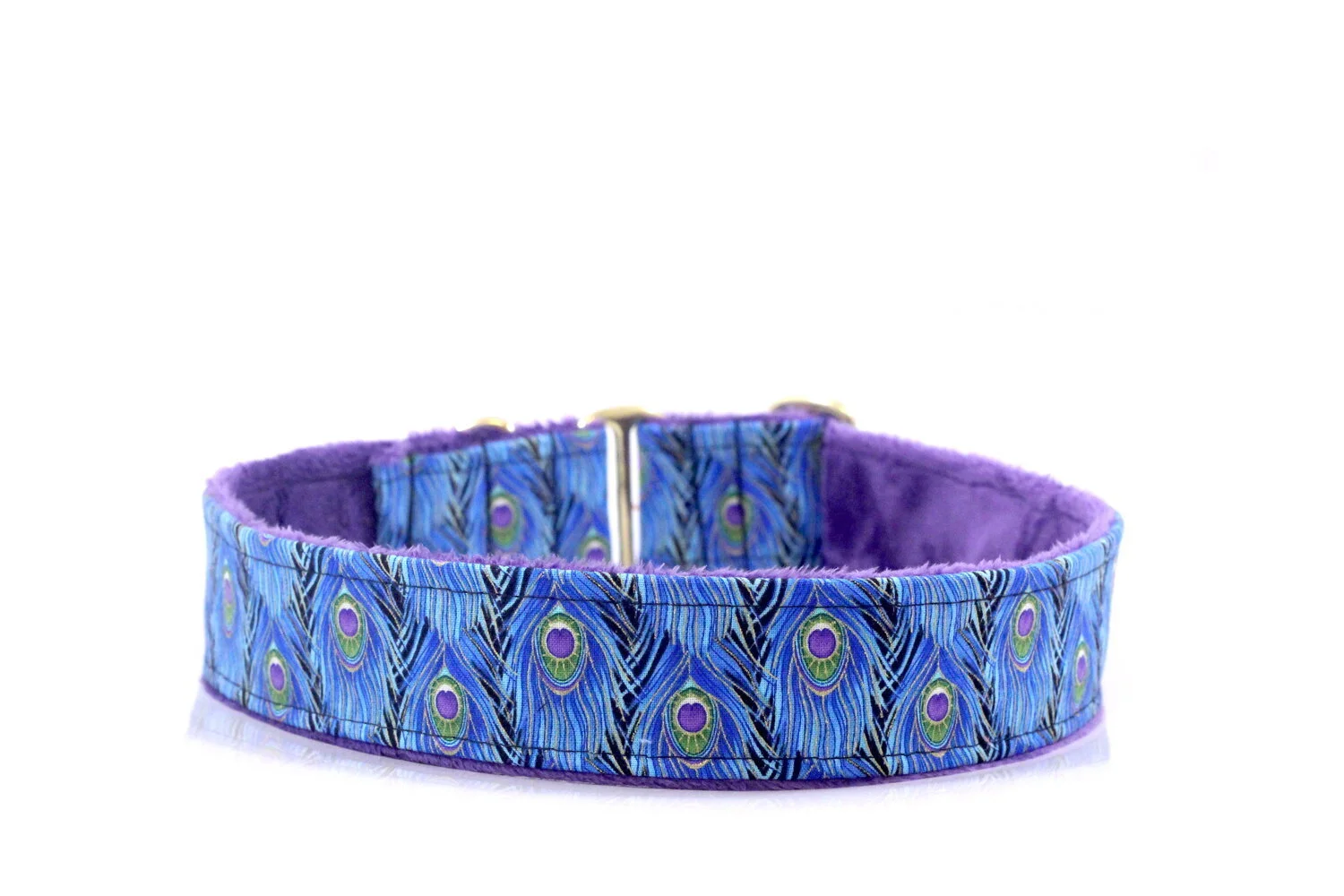 Blue Peacock Feathers