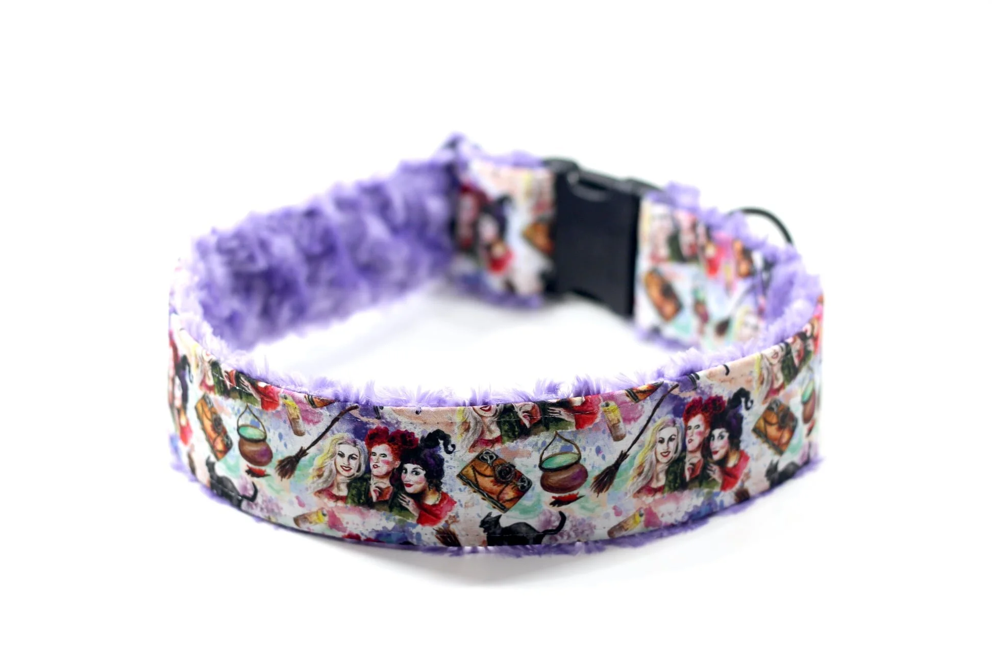 Hocus Pocus Sanderson Sisters