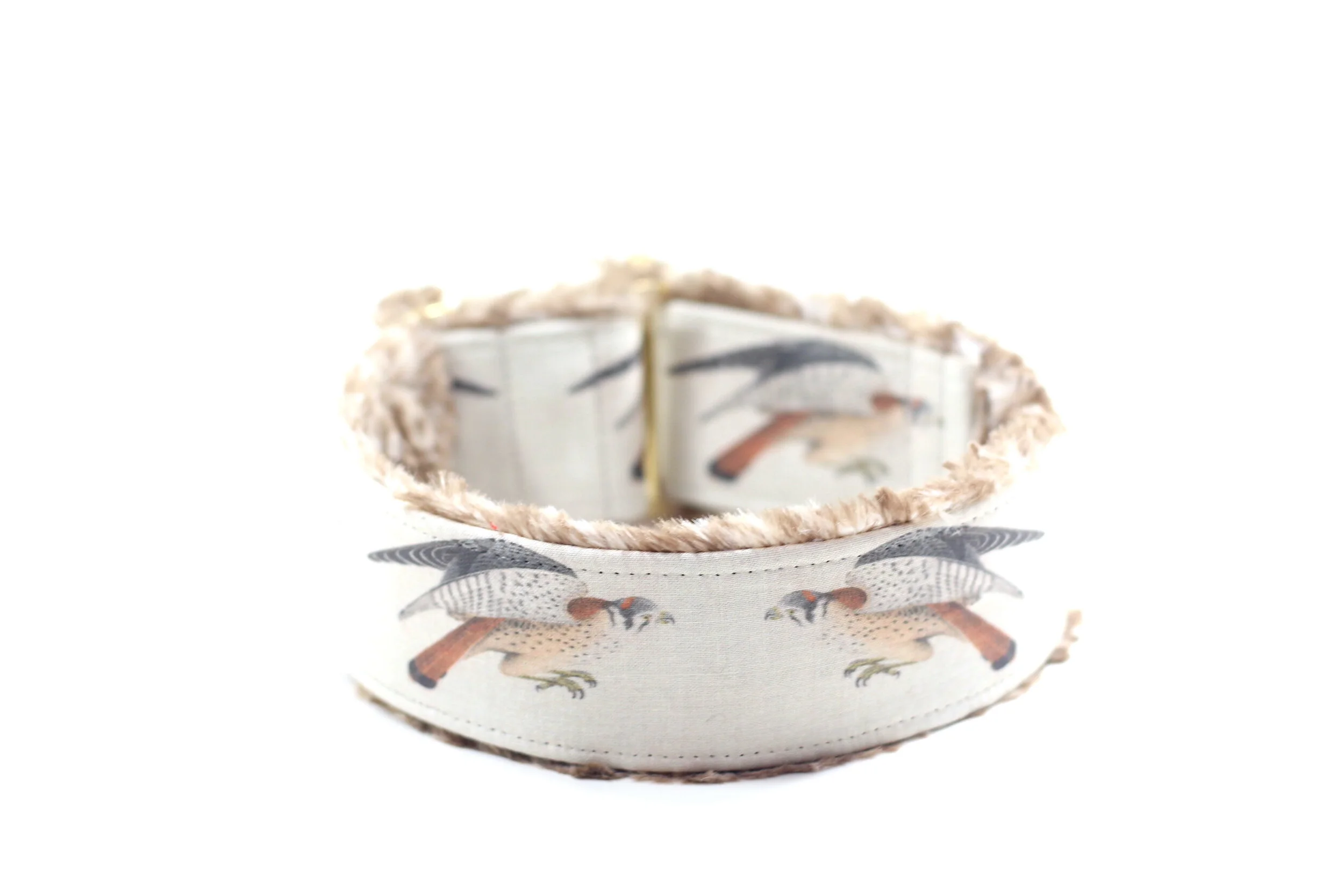 Kestrel American Sparrow Hawk Birds of Prey