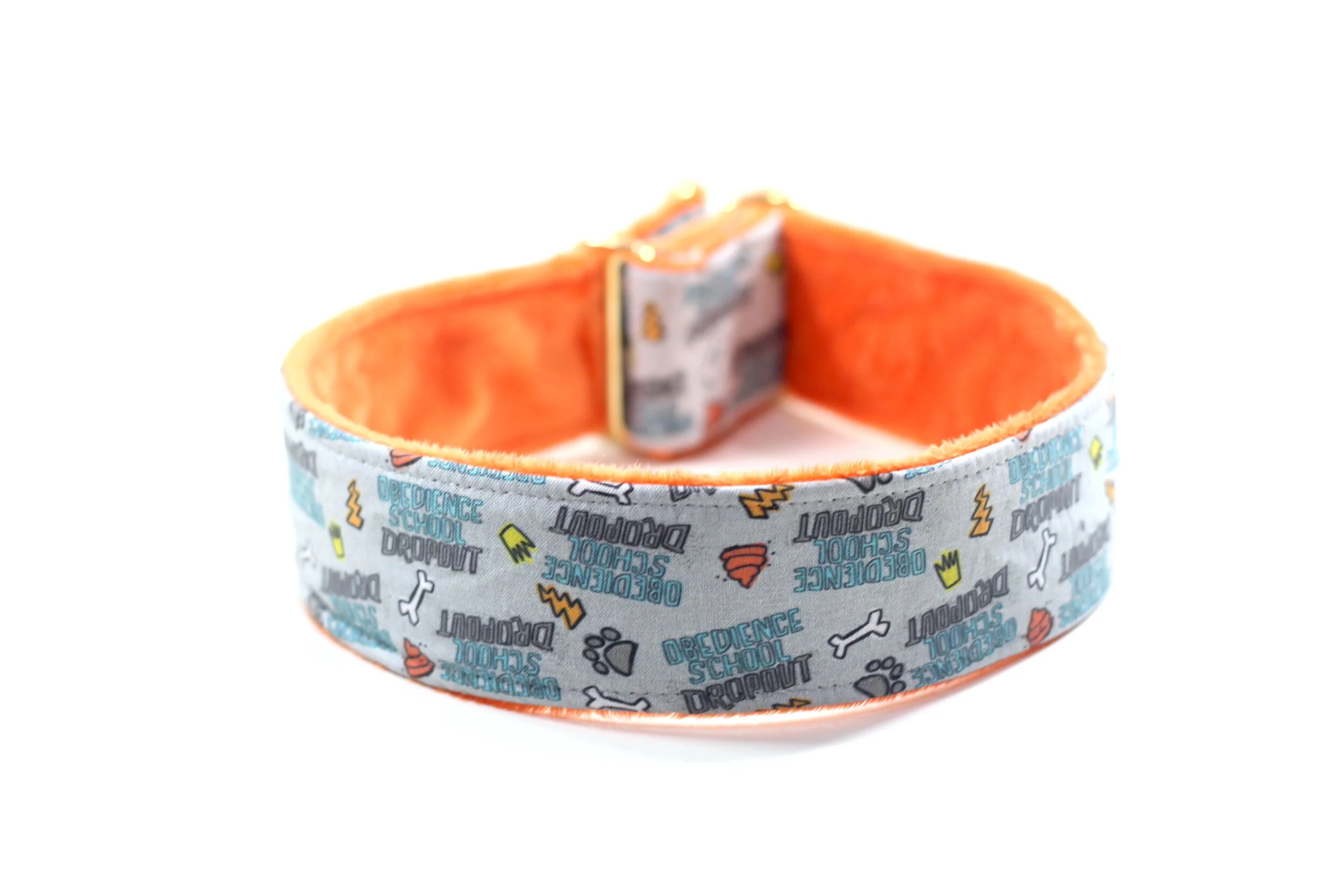 Obedience School Dropout