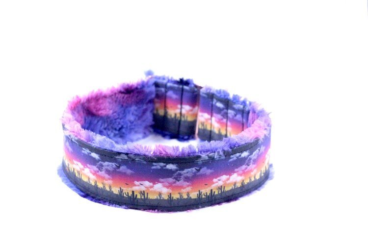 Stunning Saguaro Sunset