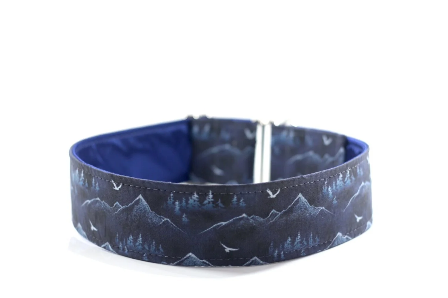 Eagle View Nighttime Mountains