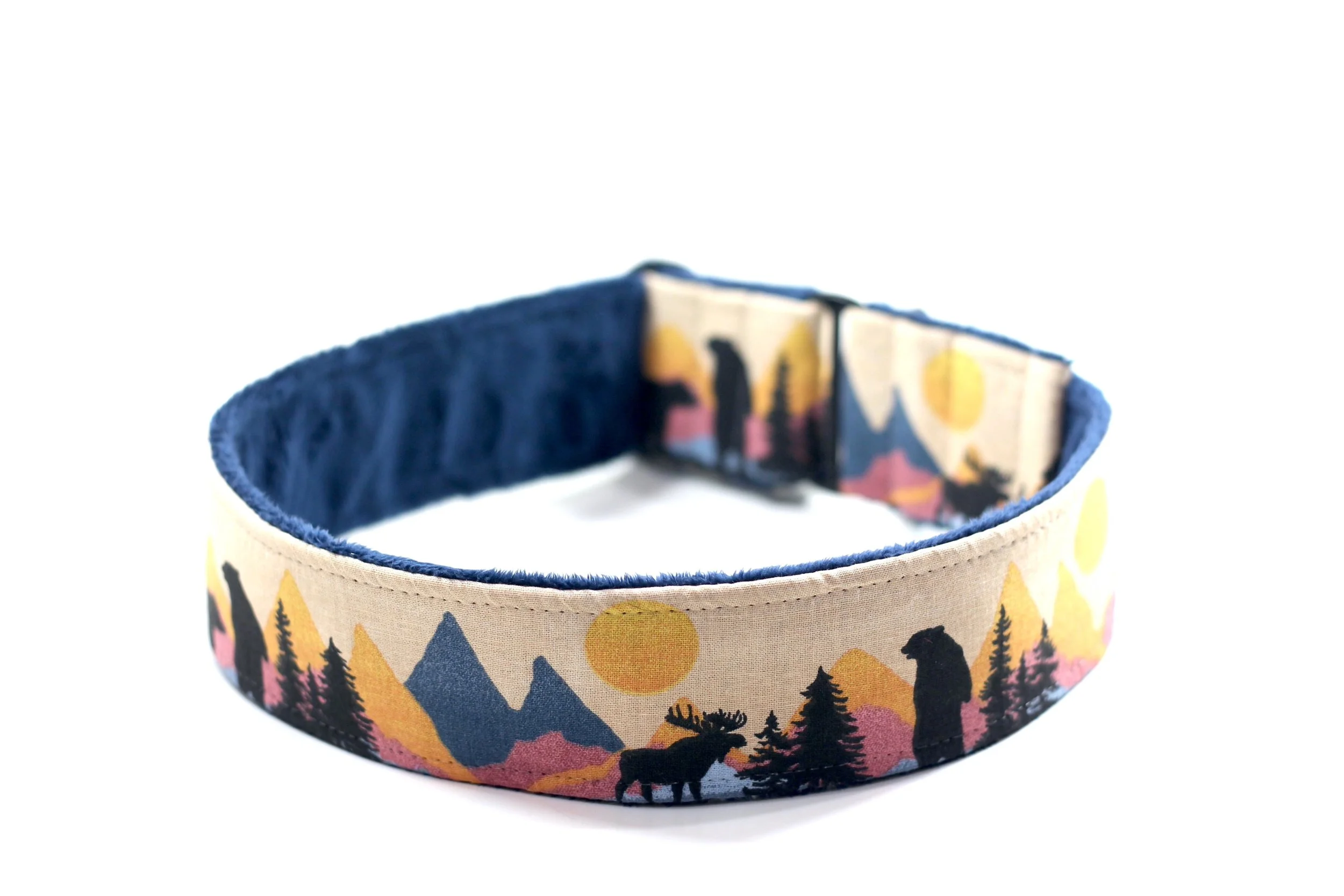 Southwest Sunset Safari