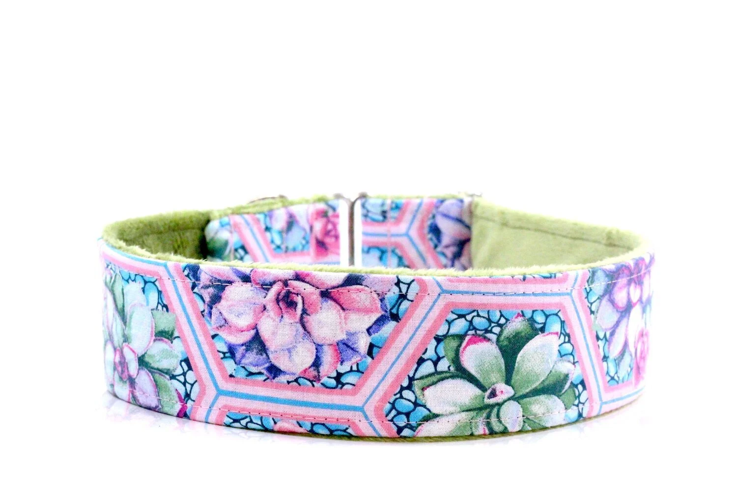 Vibrant Succulents In Hexagons