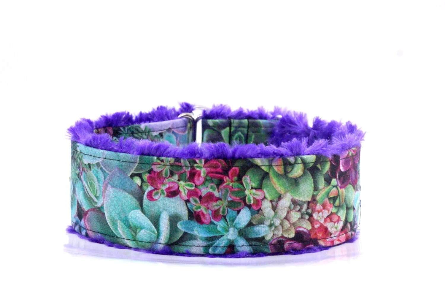 Purple and Teal Succulents