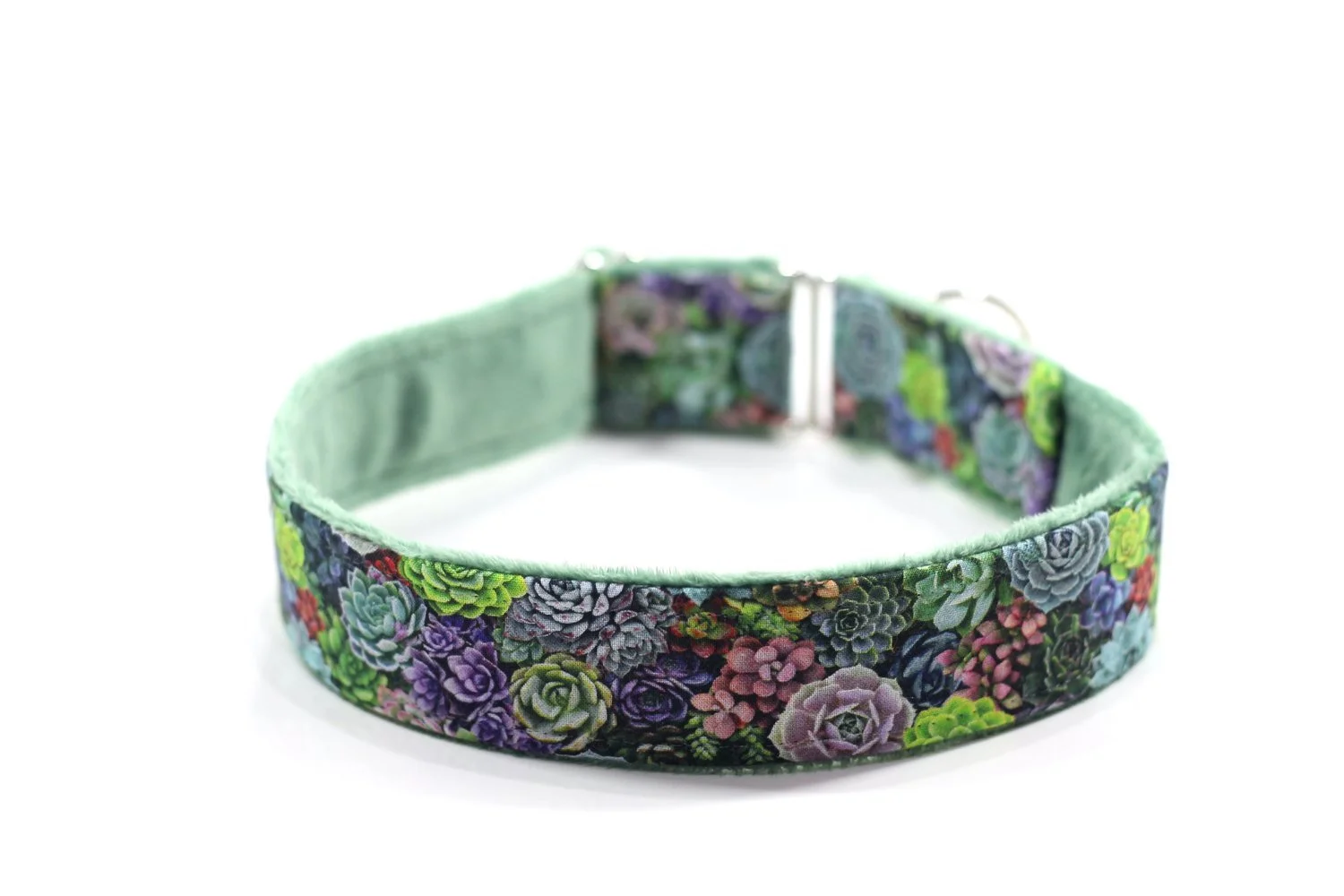 Gorgeous Packed Succulents