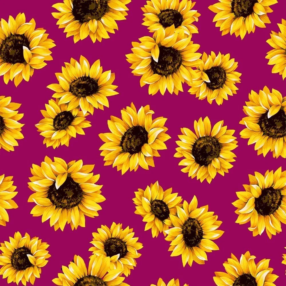 orig_57618_sunflower_dance_magenta.jpeg