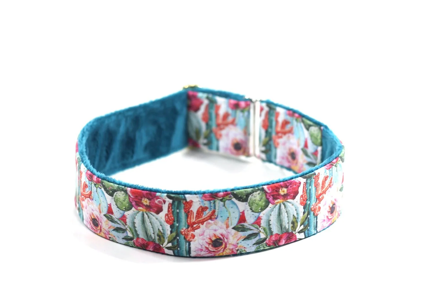 Gorgeous Succulents and Cacti