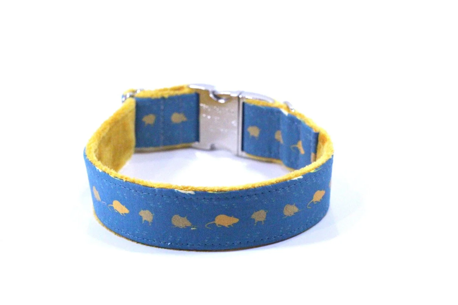 Barn Hunt Rats on Mallard