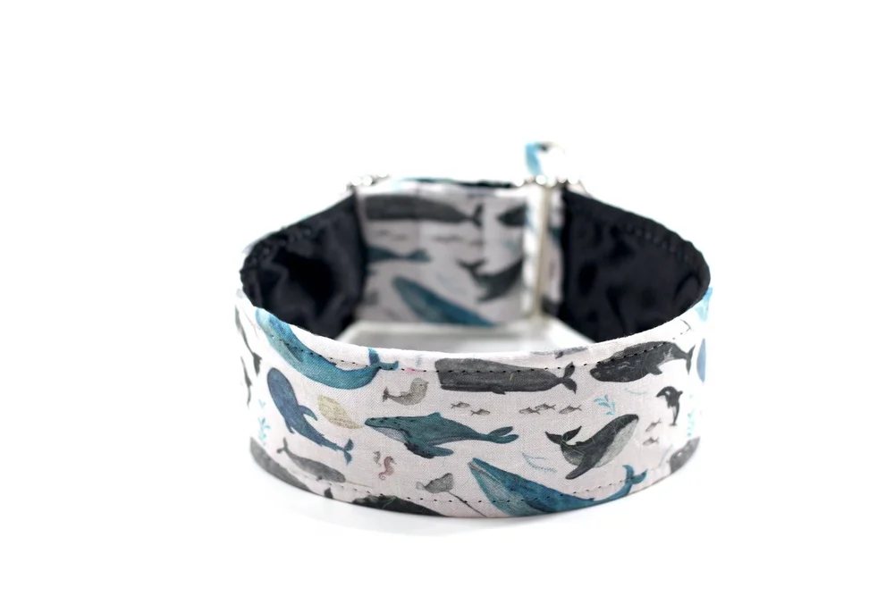 Whale Song — Penny's Collars More Custom Collars
