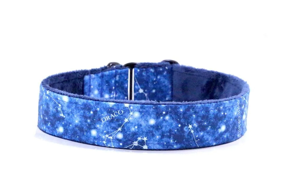 Light Blue Constellation on Blue