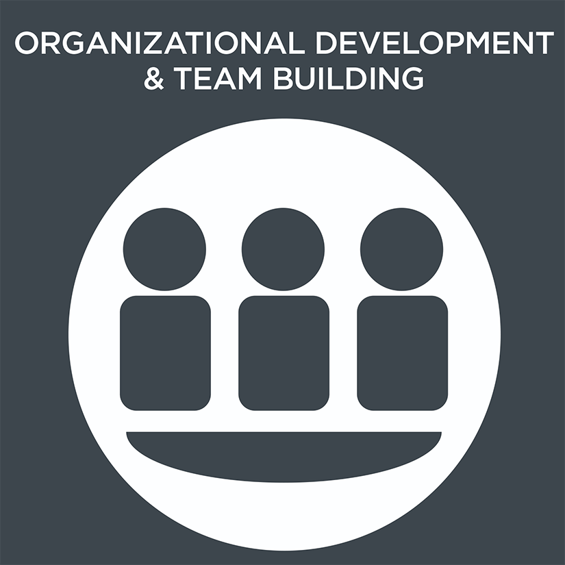 Org Development and Team Building